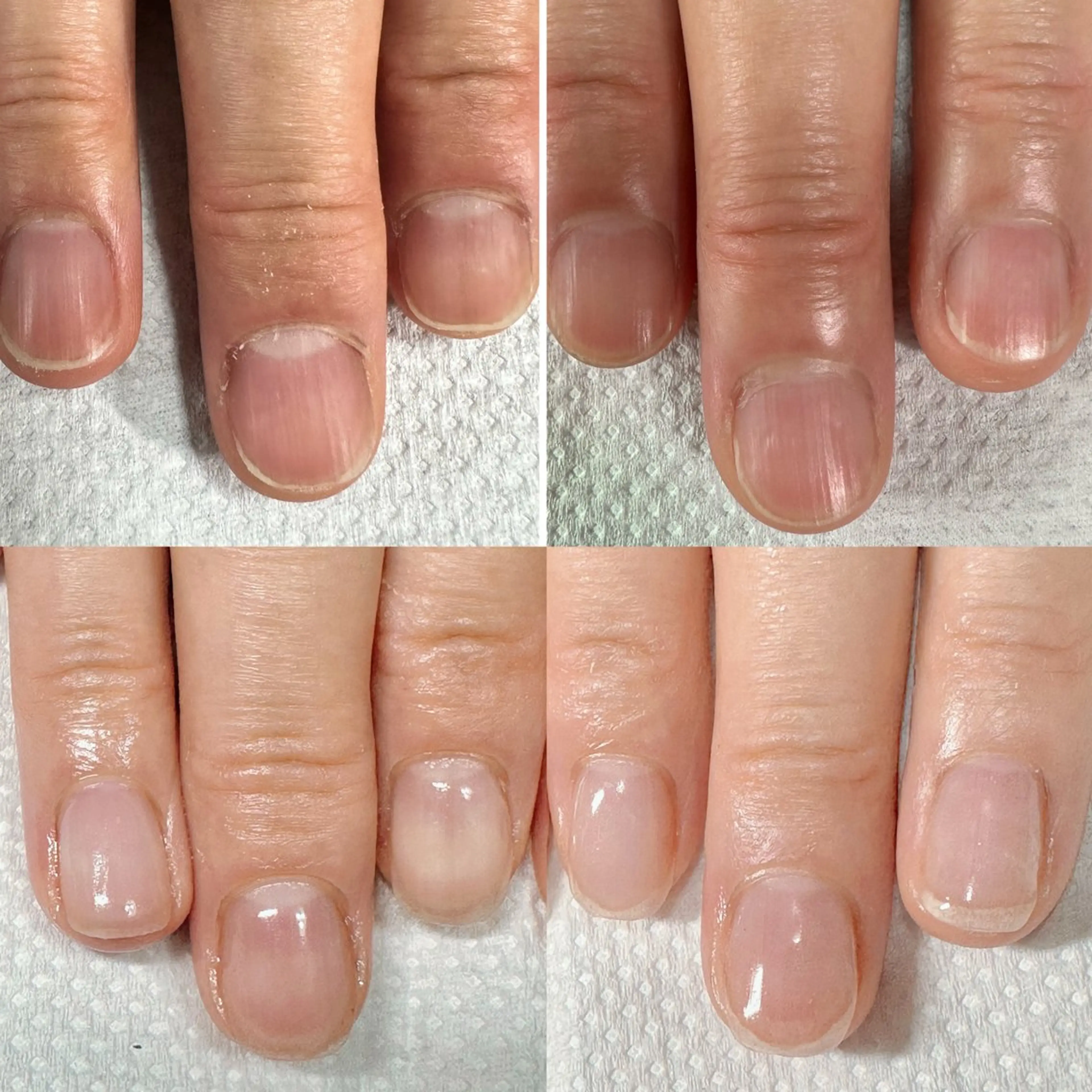 ネイル ネイルケアサロン Campanulaのネイルデザイン