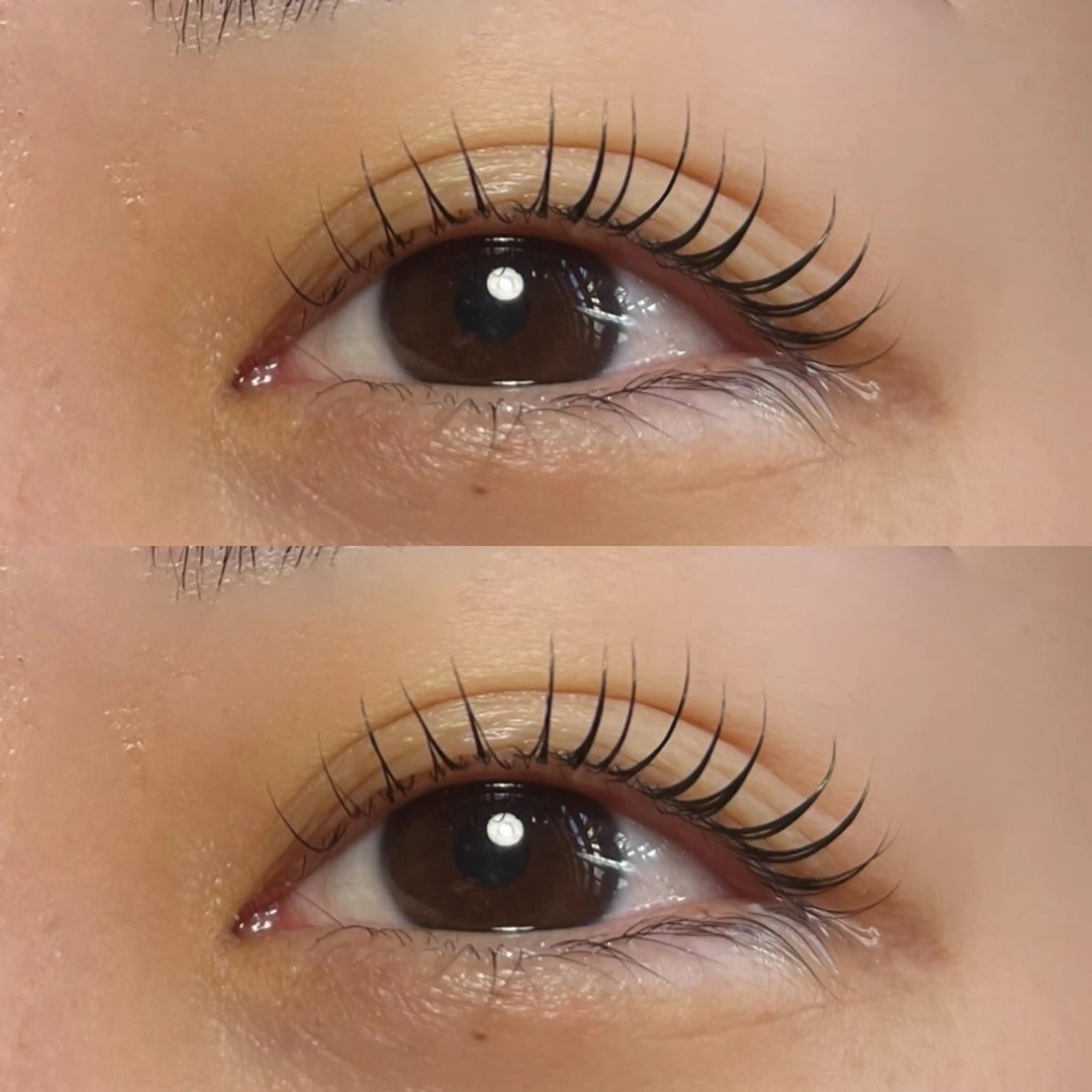 ミニモ限定✨まつげパーマ上下👀コーティング付きの写真
