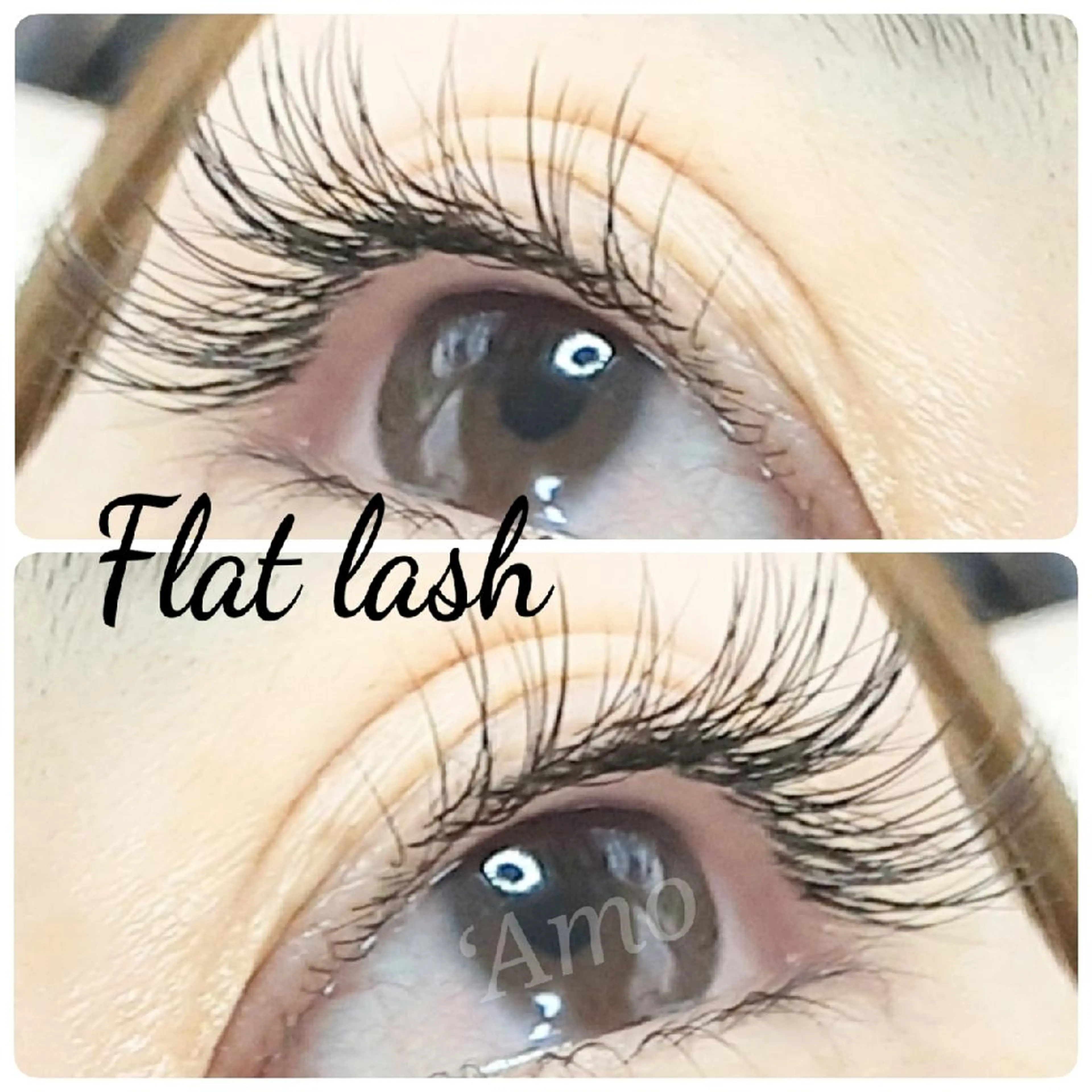 マツエク・マツパ フラットラッシュ ナチュラル ‘Amo アモのマツエク・マツパデザイン