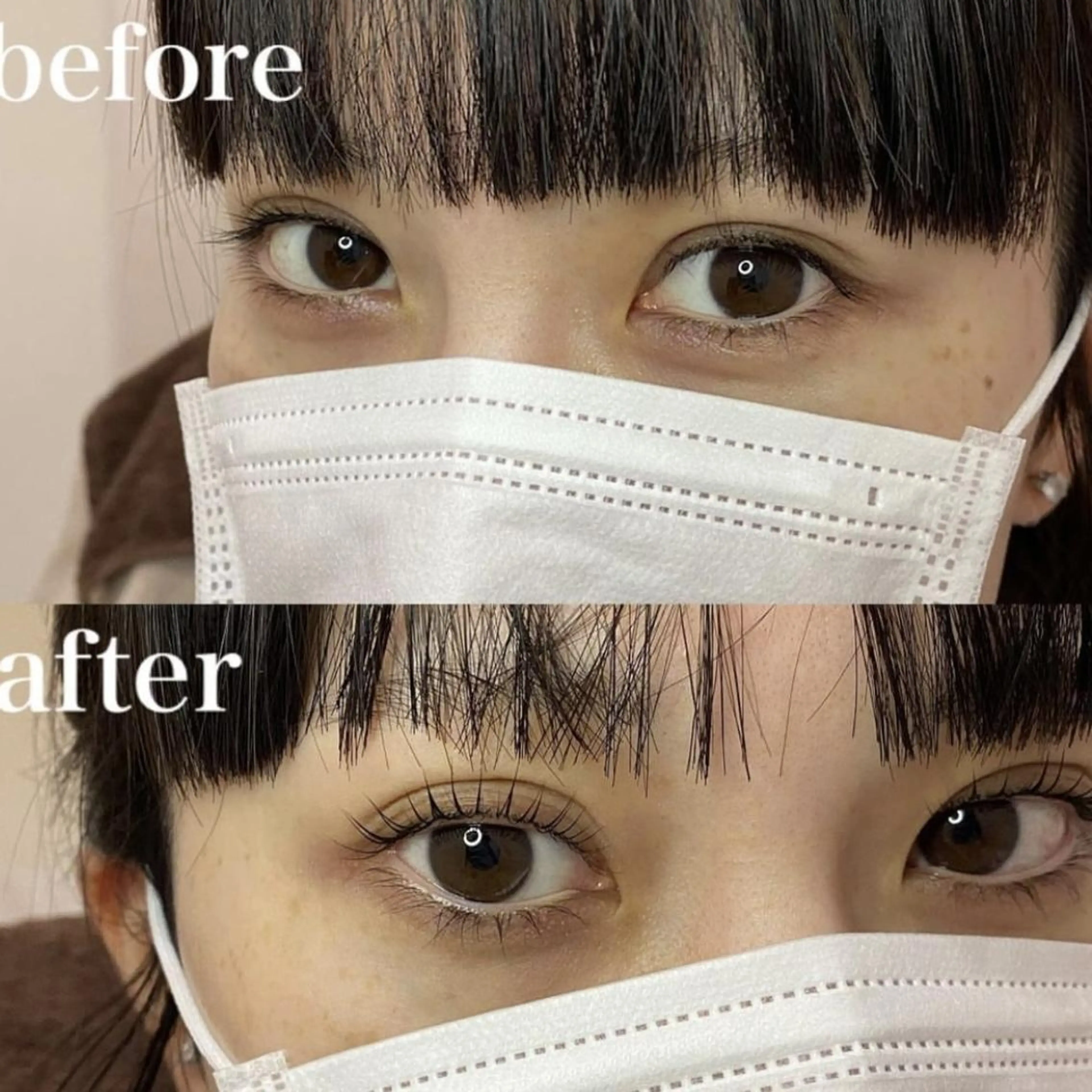 マツエク・マツパ マツパ Bunny eyes NEWOTANI博多のマツエク・マツパデザイン