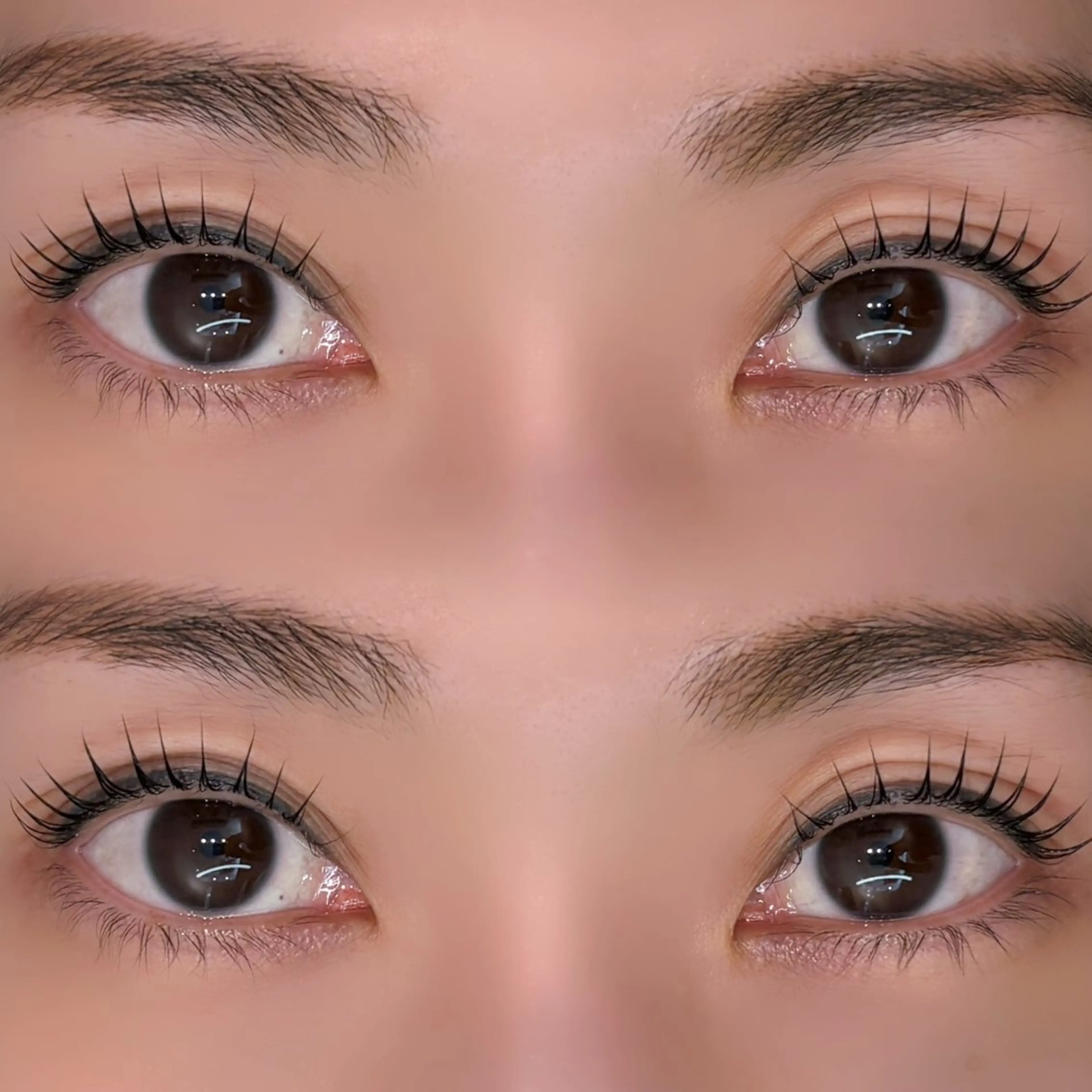 マツエク・マツパ マツパ ANY Eyelash 高砂店【パリジェンヌ・まつげパー マ・LED・眉毛】所属・ANY 🩶 Nanakoのマツエク・マツパデザイン