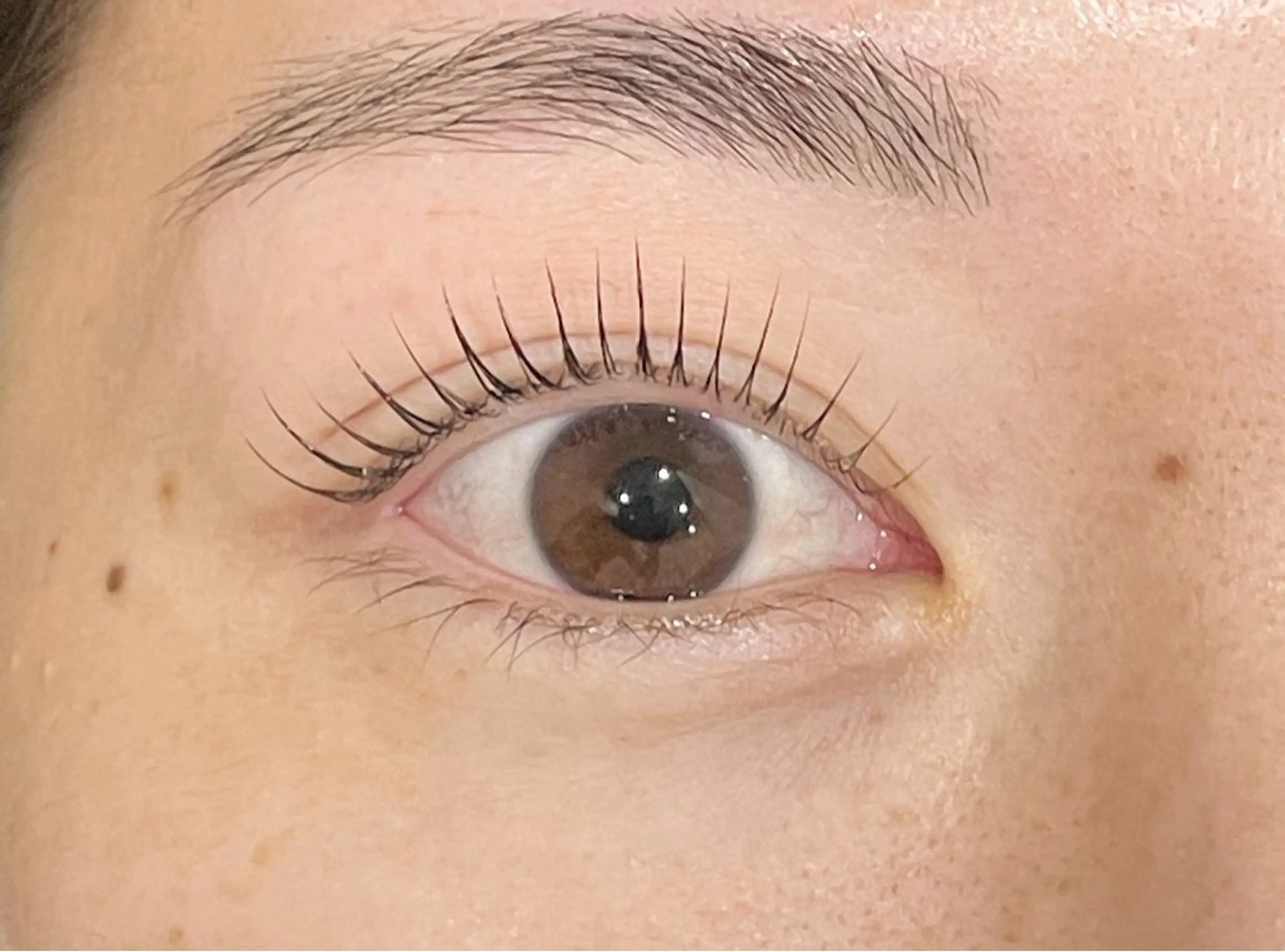 マツエク・マツパ 🌱Ai Quick 新宿/シノネ🪞🫧の眉毛・アイブロウイメージ