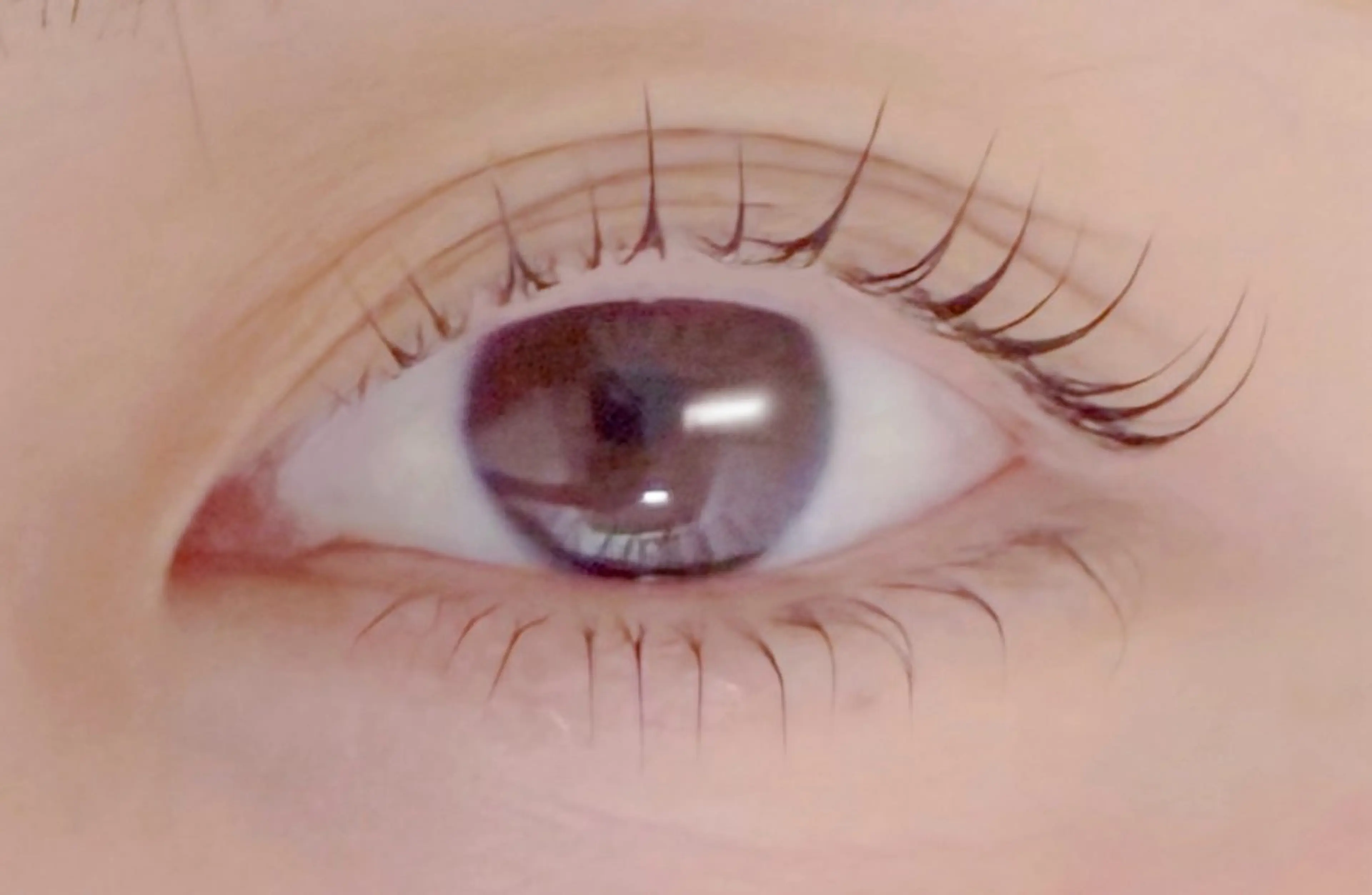 マツエク・マツパ haruka 【ever天神店】のマツエク・マツパデザイン