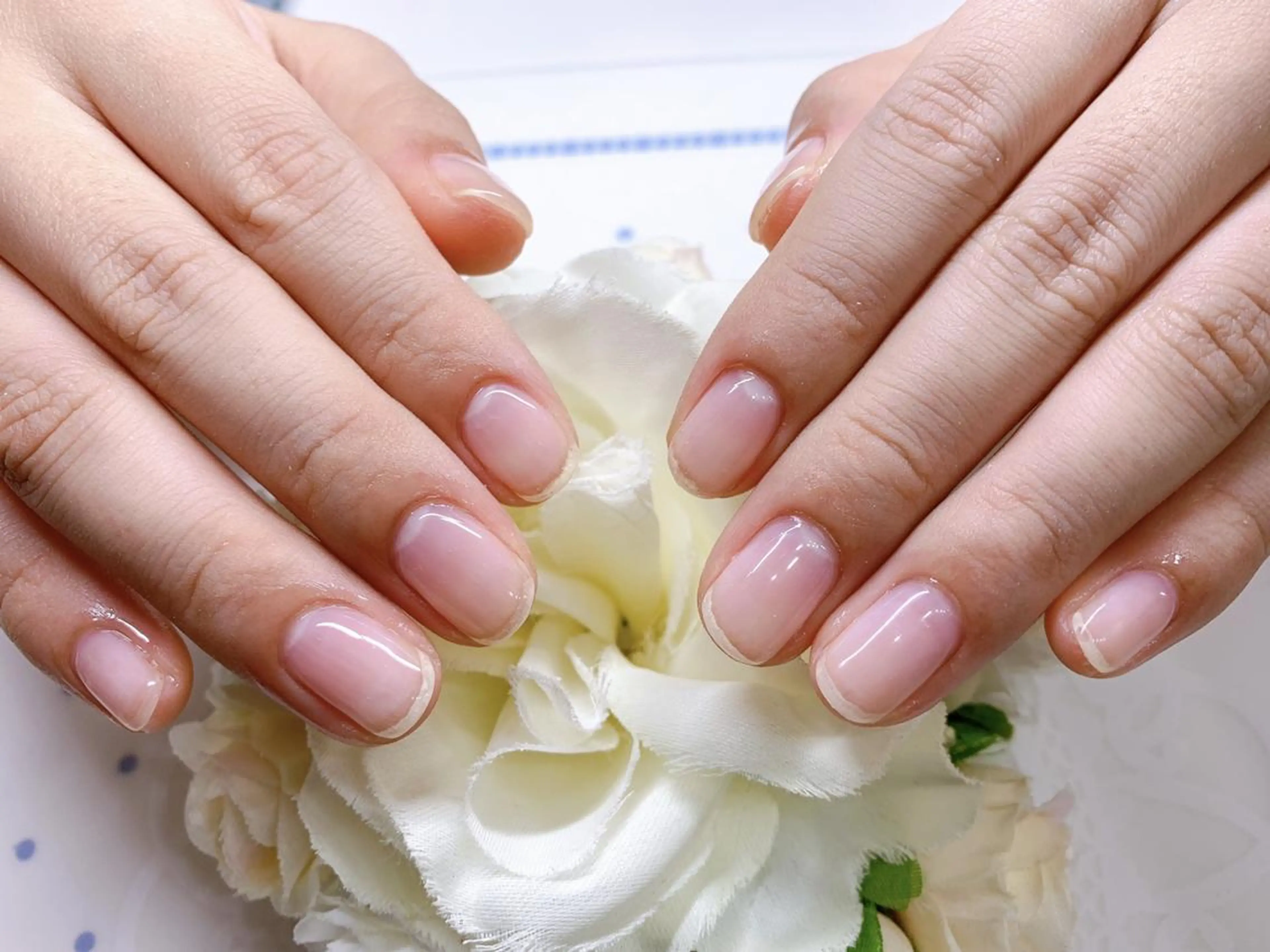 ネイル Silky_nail Sの眉毛・アイブロウイメージ