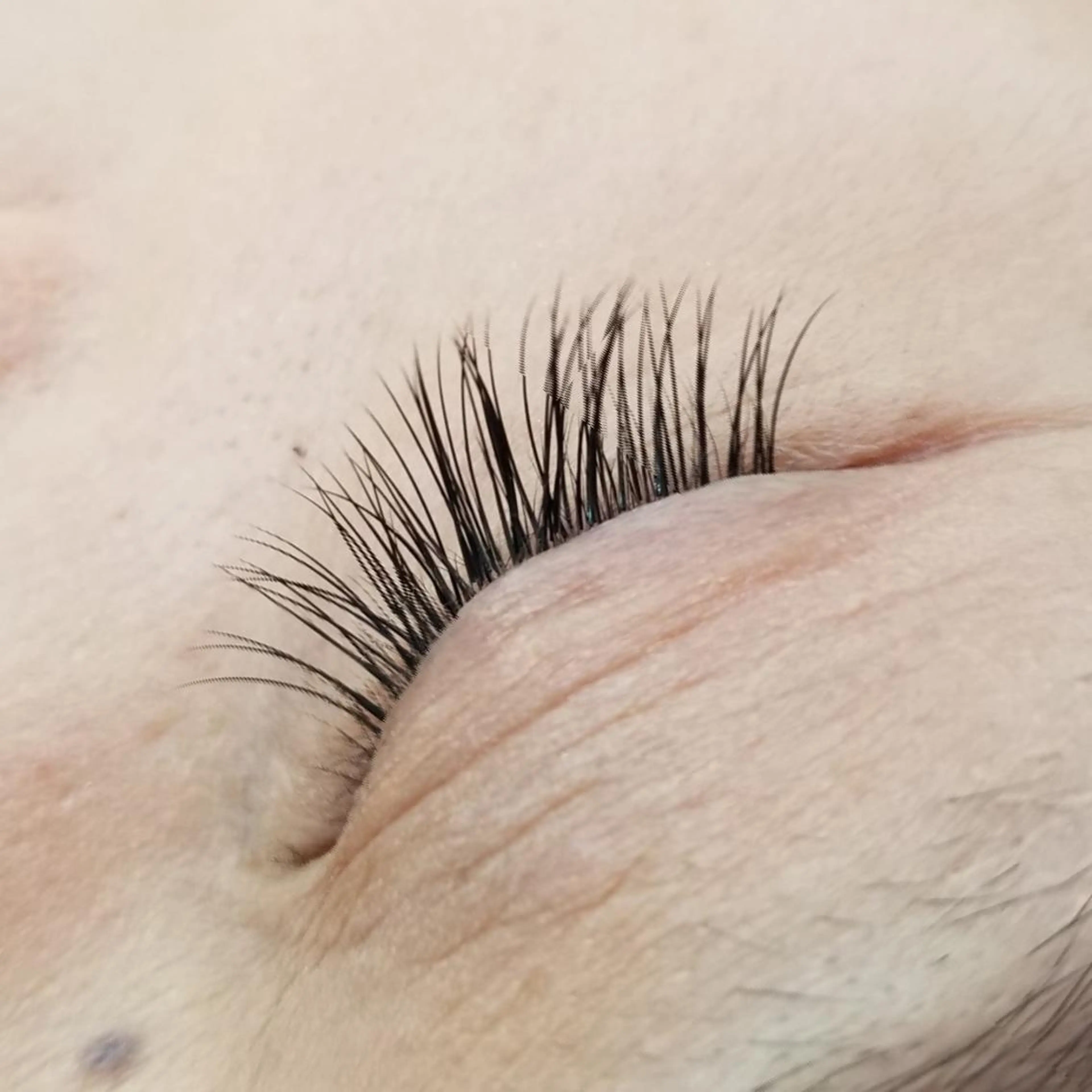 マツエク・マツパ  毛穴洗浄・まつ毛 の専門店 ソラーレのエステ・リラクイメージ