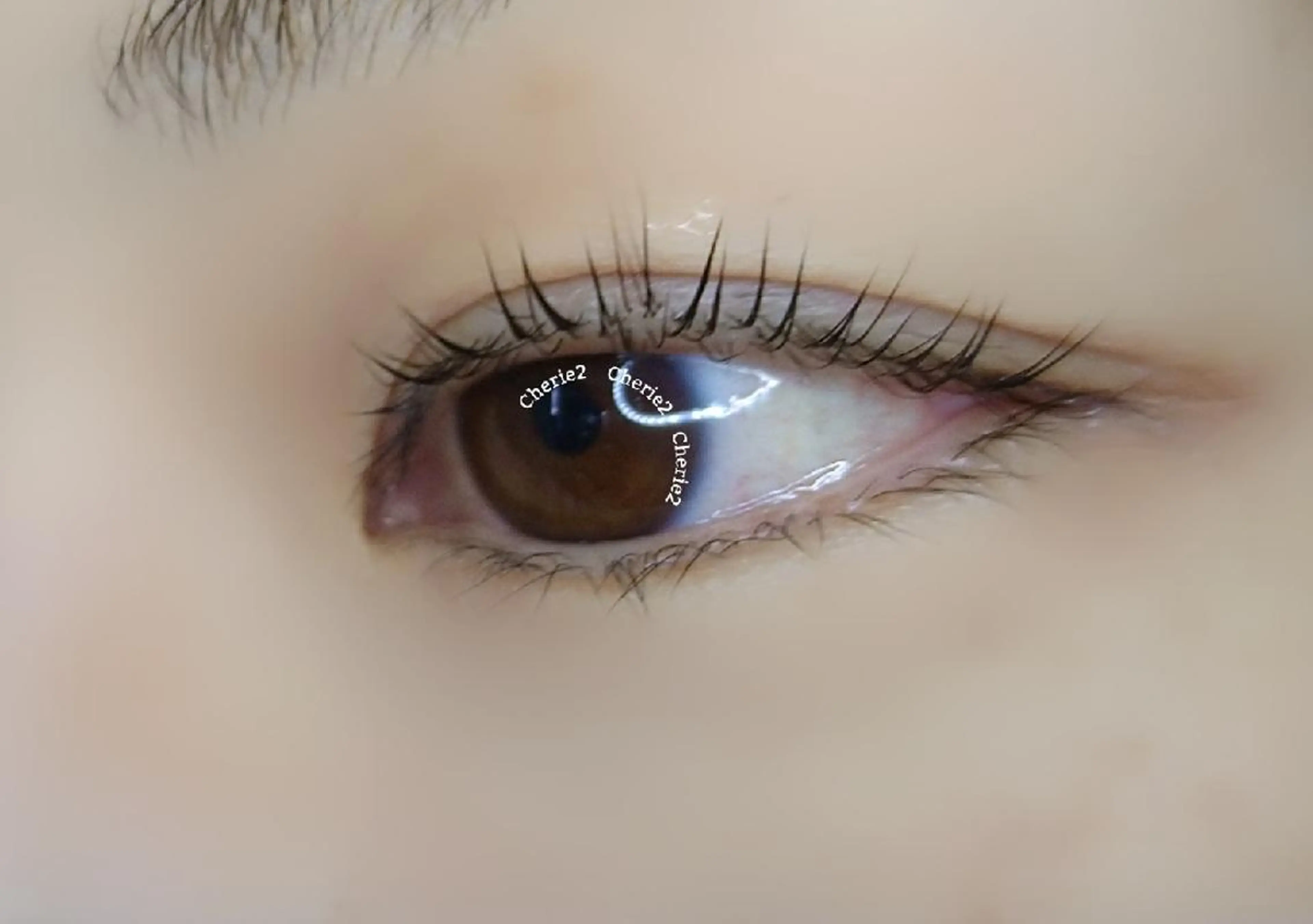 マツエク・マツパ のなか みきのマツエク・マツパデザイン