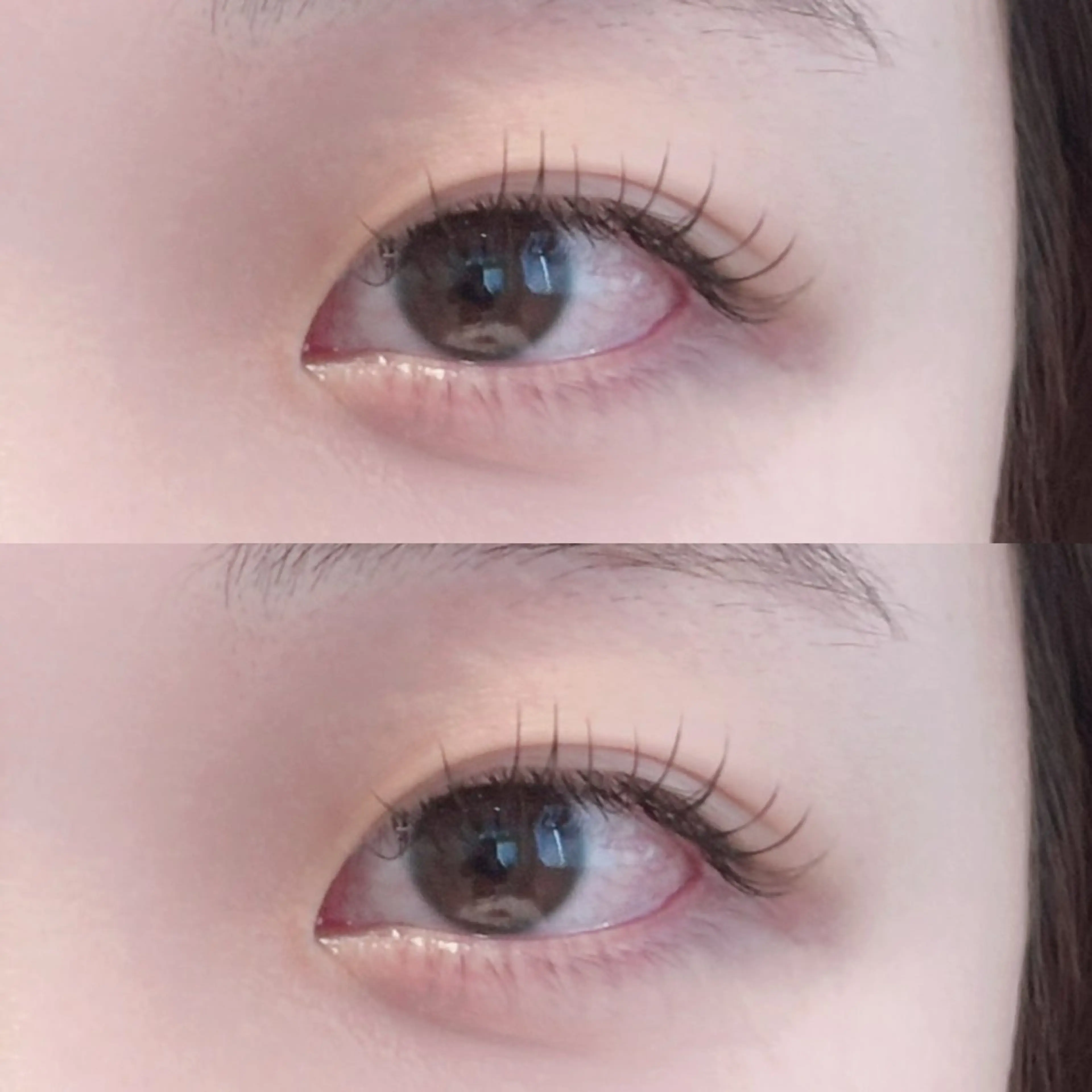 フラットラッシュ100本(オフあり)の写真