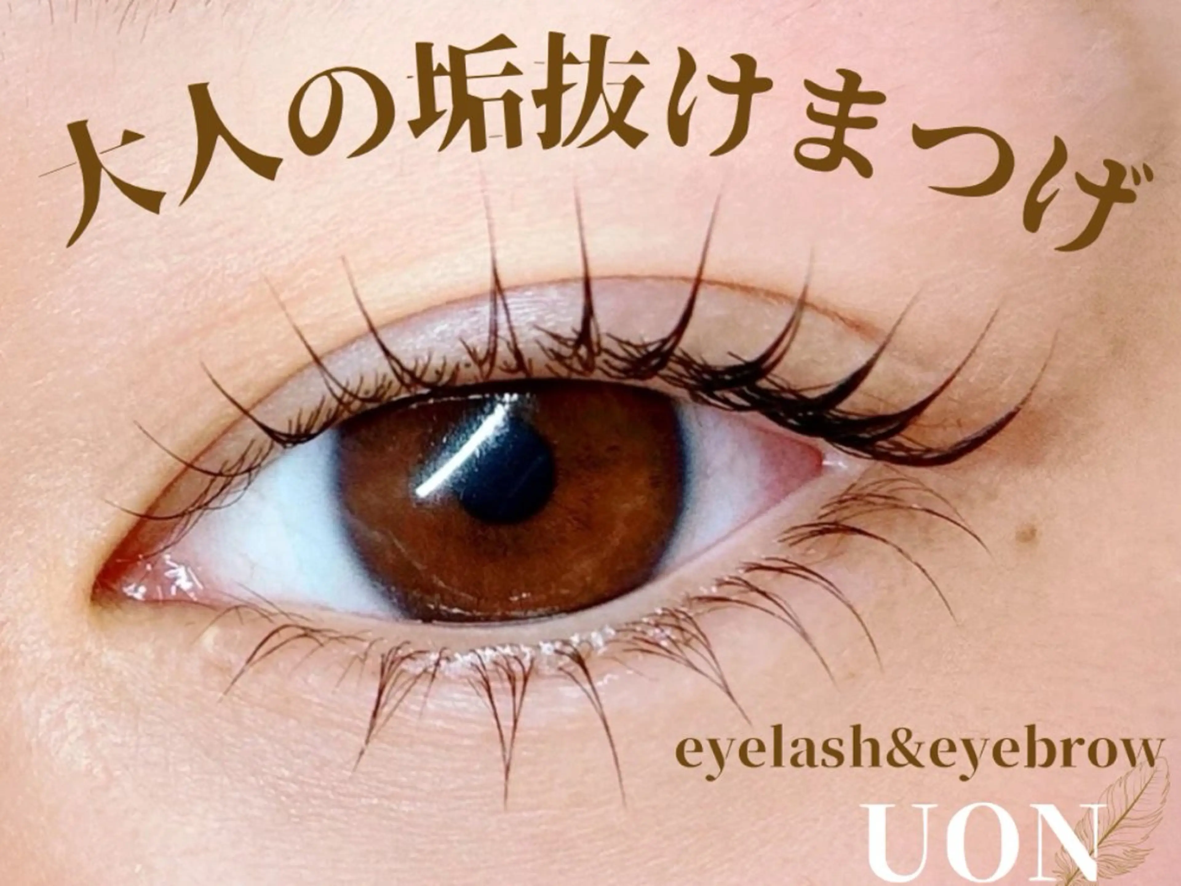 上下まつげパーマ✖️トリートメント付の写真