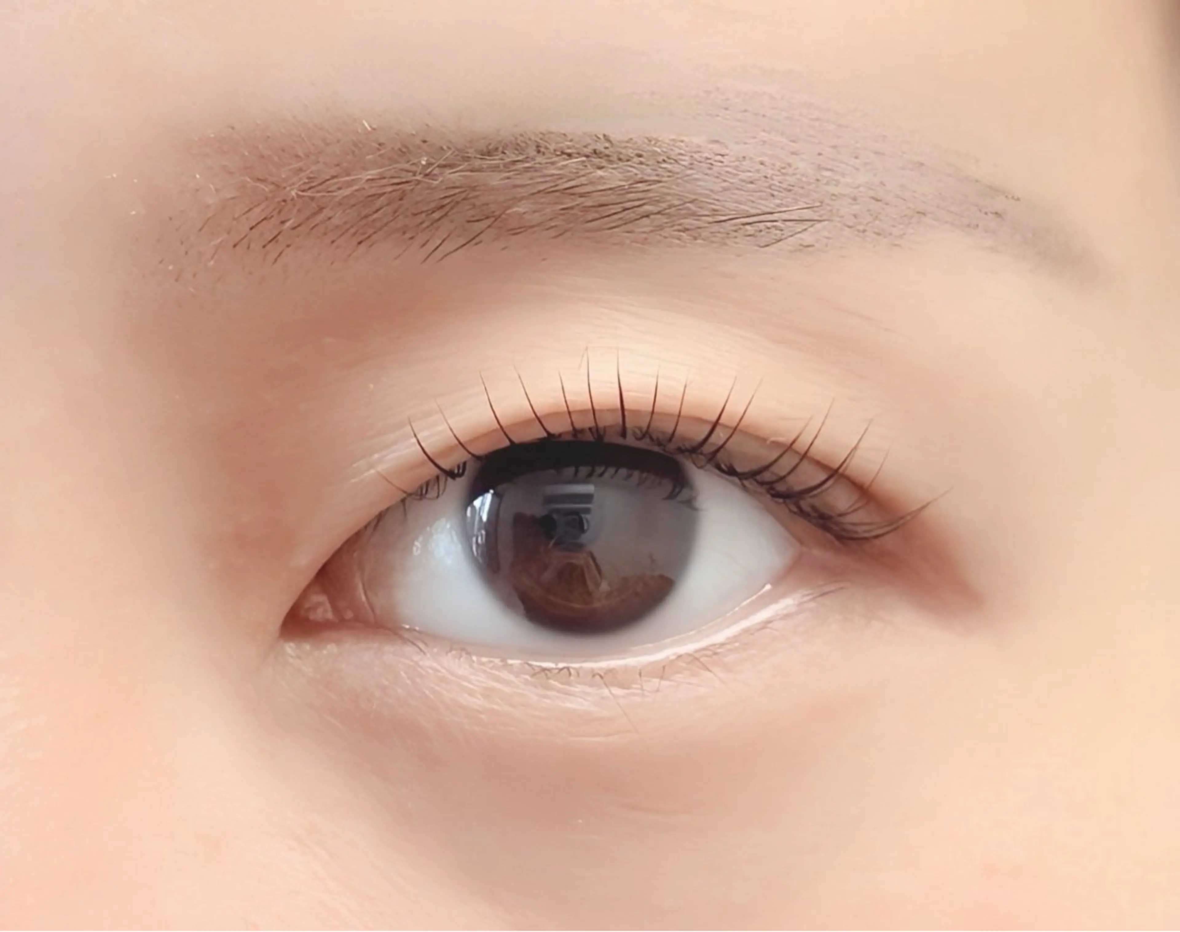 【アイシャンプー付】まつげパーマの写真