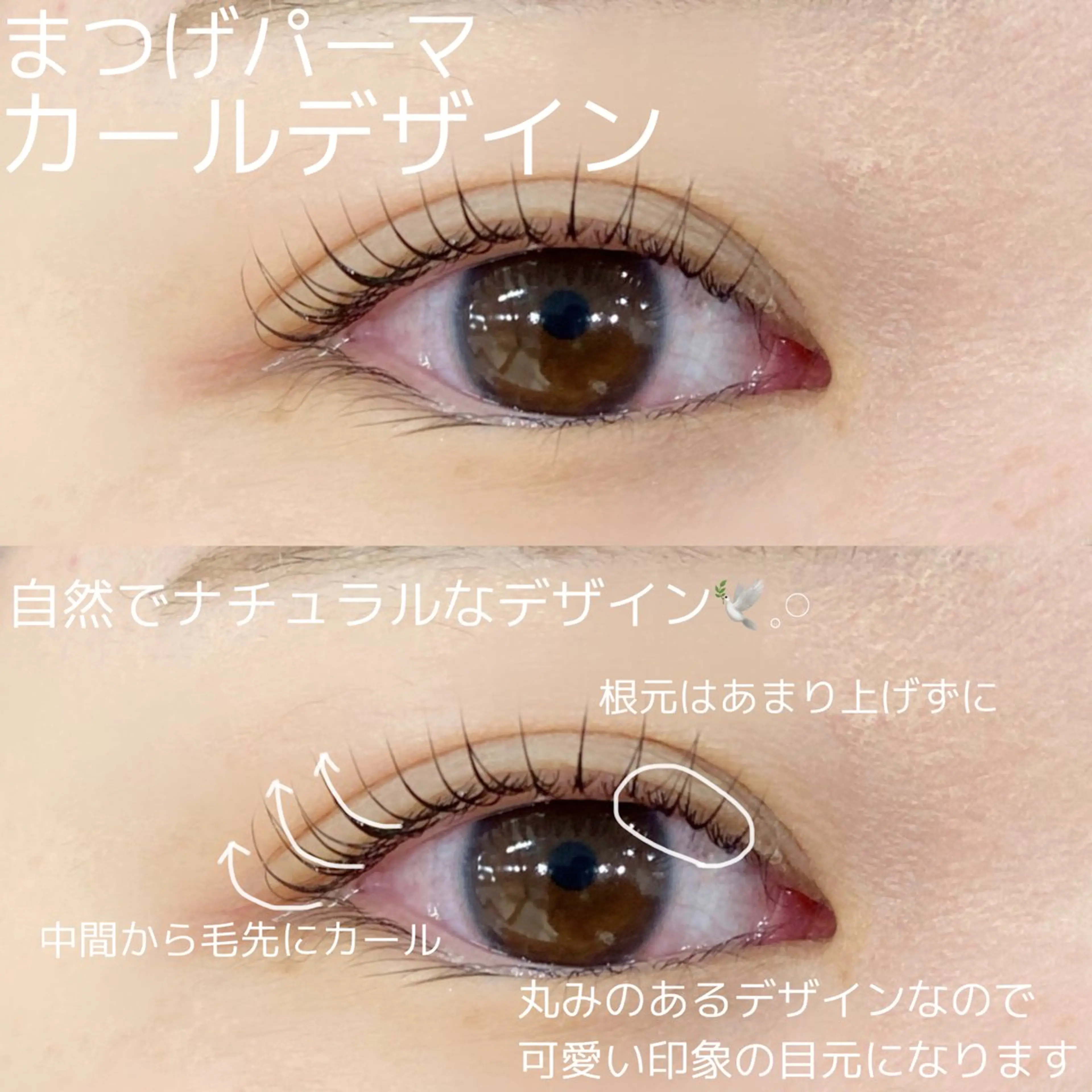 マツエク・マツパ ナチュラル まつげパーマ Haruki (はるき)のマツエク・マツパデザイン
