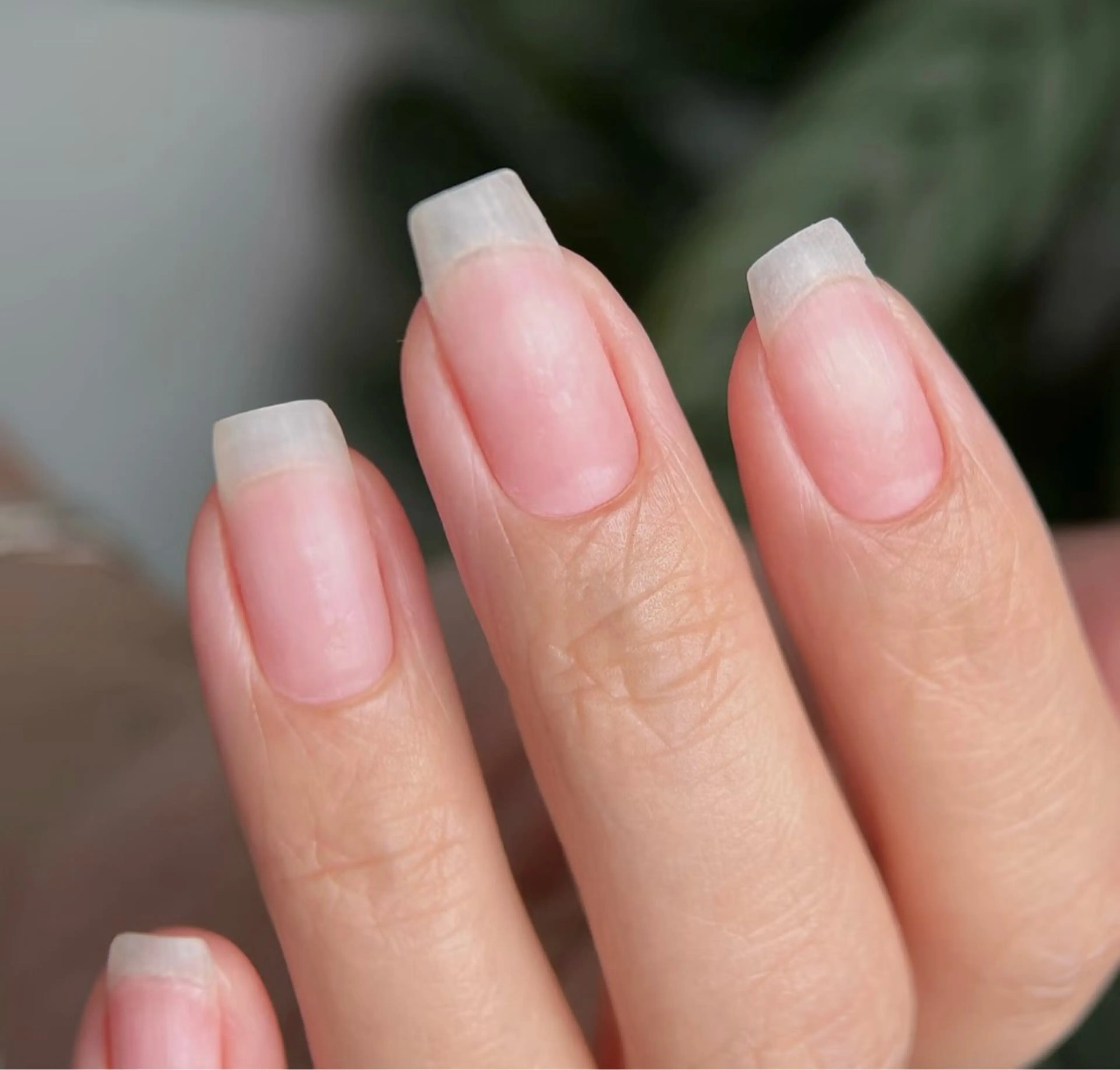 💞ハンドジェルオフのみ3500円🌼ハンドチップ、スカルプ長さだしオフのみ4500円🌺フットジェルオフ4000円🌷の写真