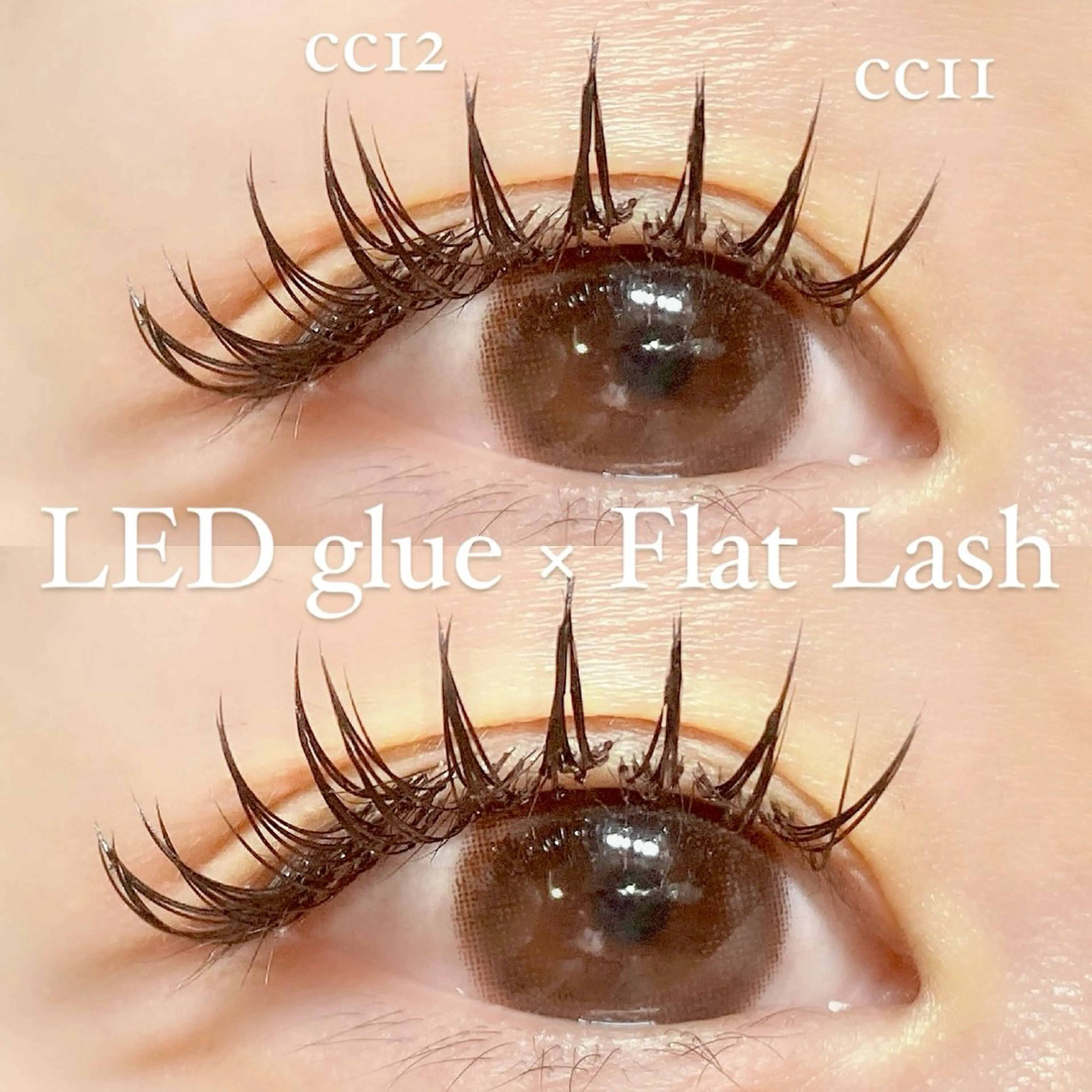 マツエク・マツパ CCカール Cカール マツエク Eyelash 🎀 𝐀𝐲𝐮𝐦𝐢のマツエク・マツパデザイン