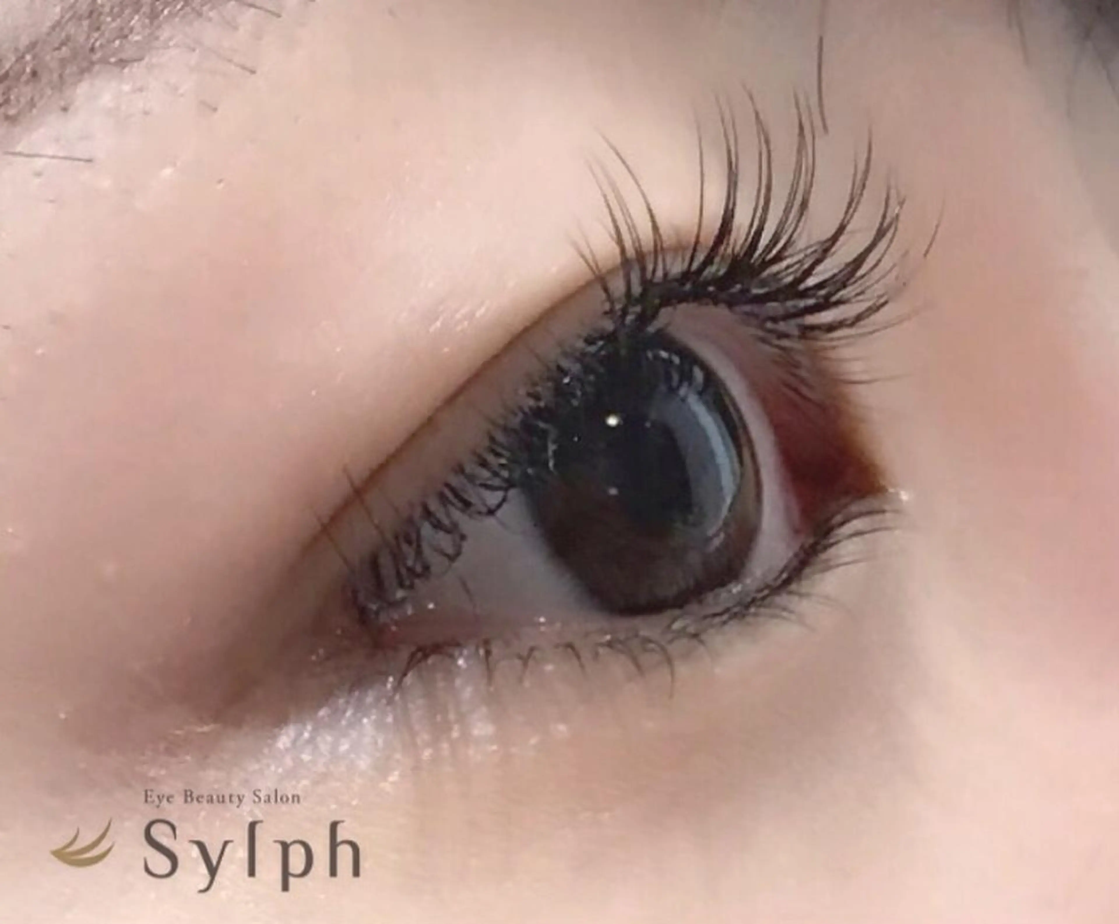 マツエク・マツパ 岡田詩織 MODE Ks松原店のヘアスタイル