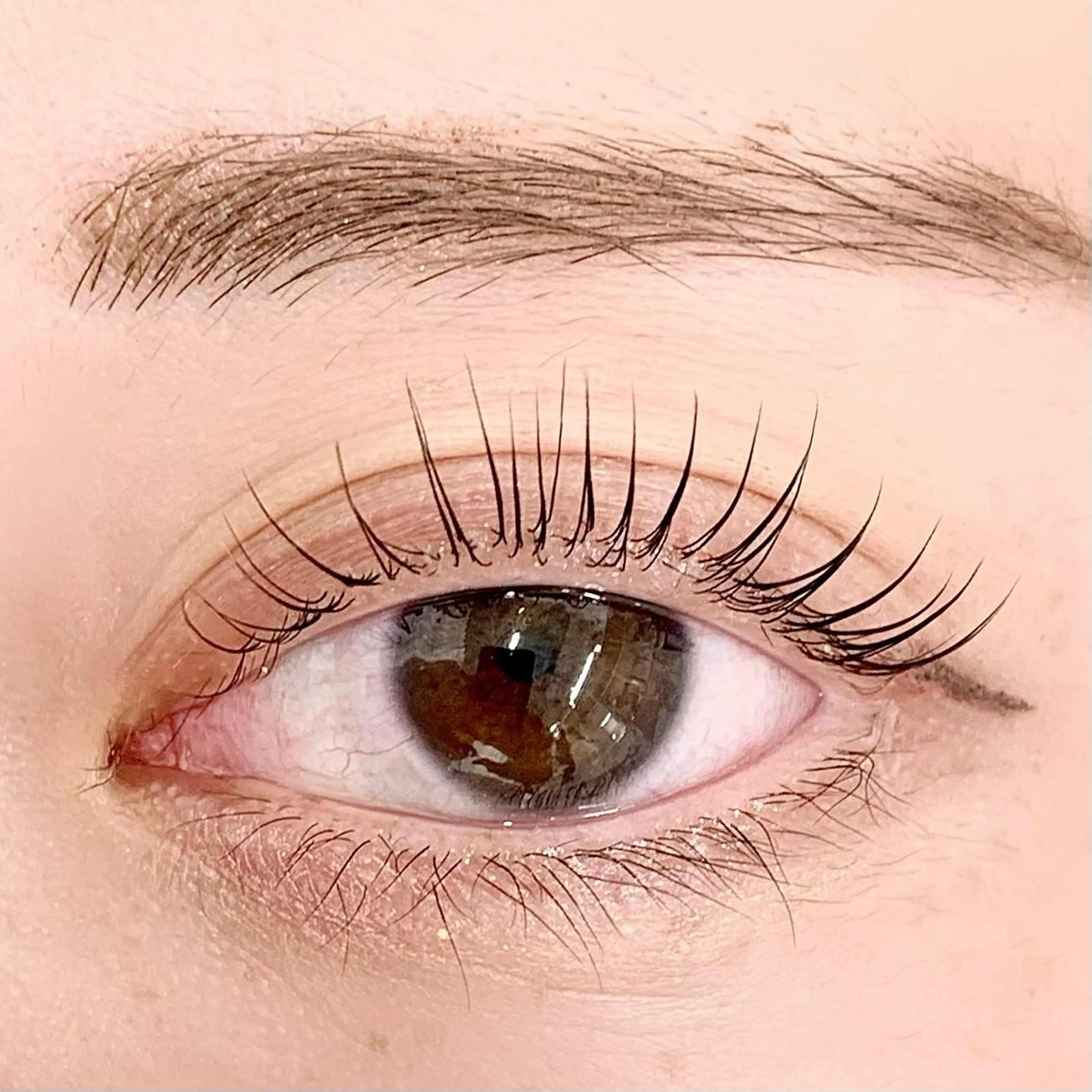 マツエク・マツパ パリジェンヌラッシュリフト まつげパーマ マツパ BellFlower Aki（眉・まつげ）のマツエク・マツパデザイン