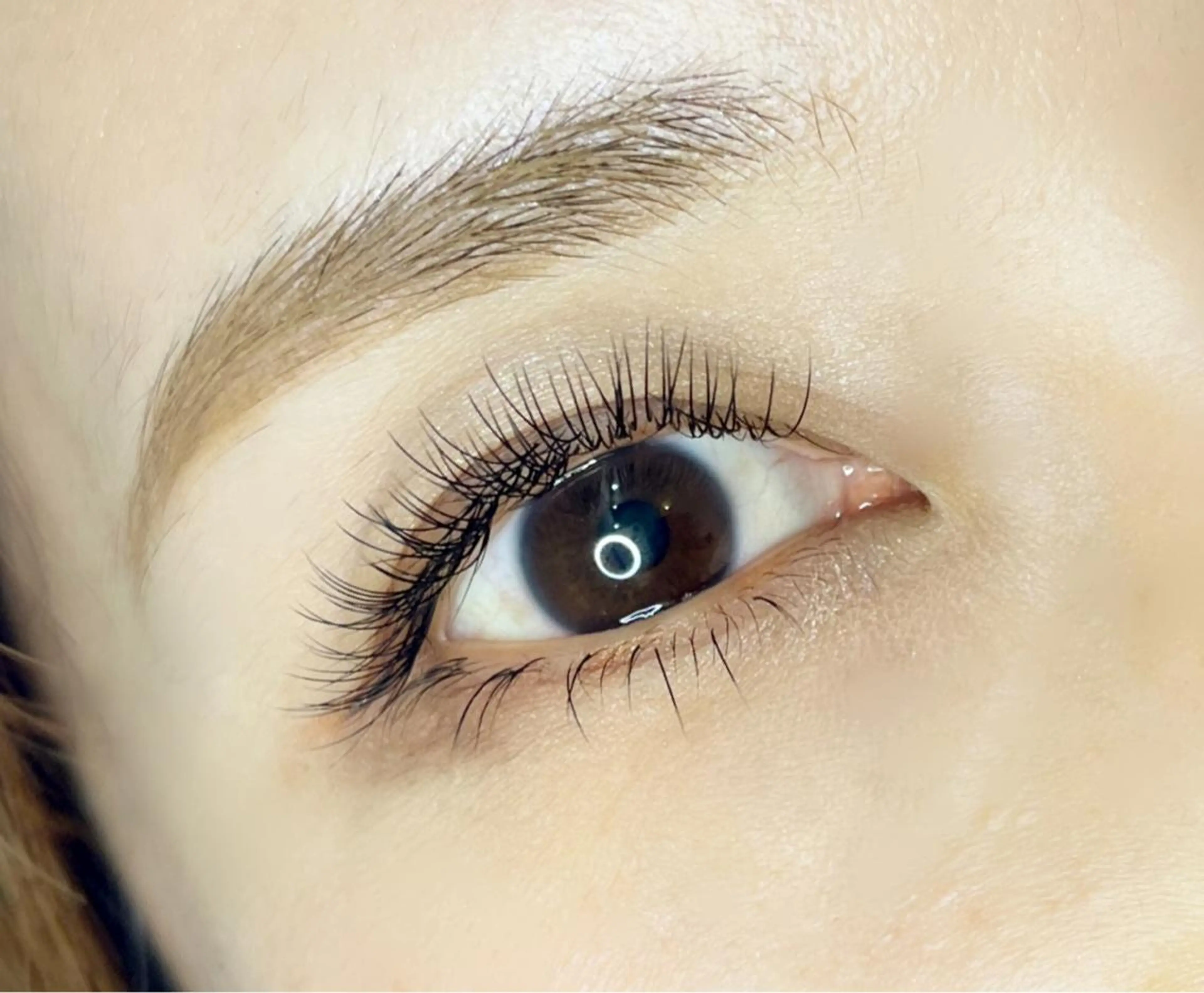 マツエク・マツパ ナチュラル その他(アイブロウ) 《eyelash ｉｉｔｅ》森のマツエク・マツパデザイン