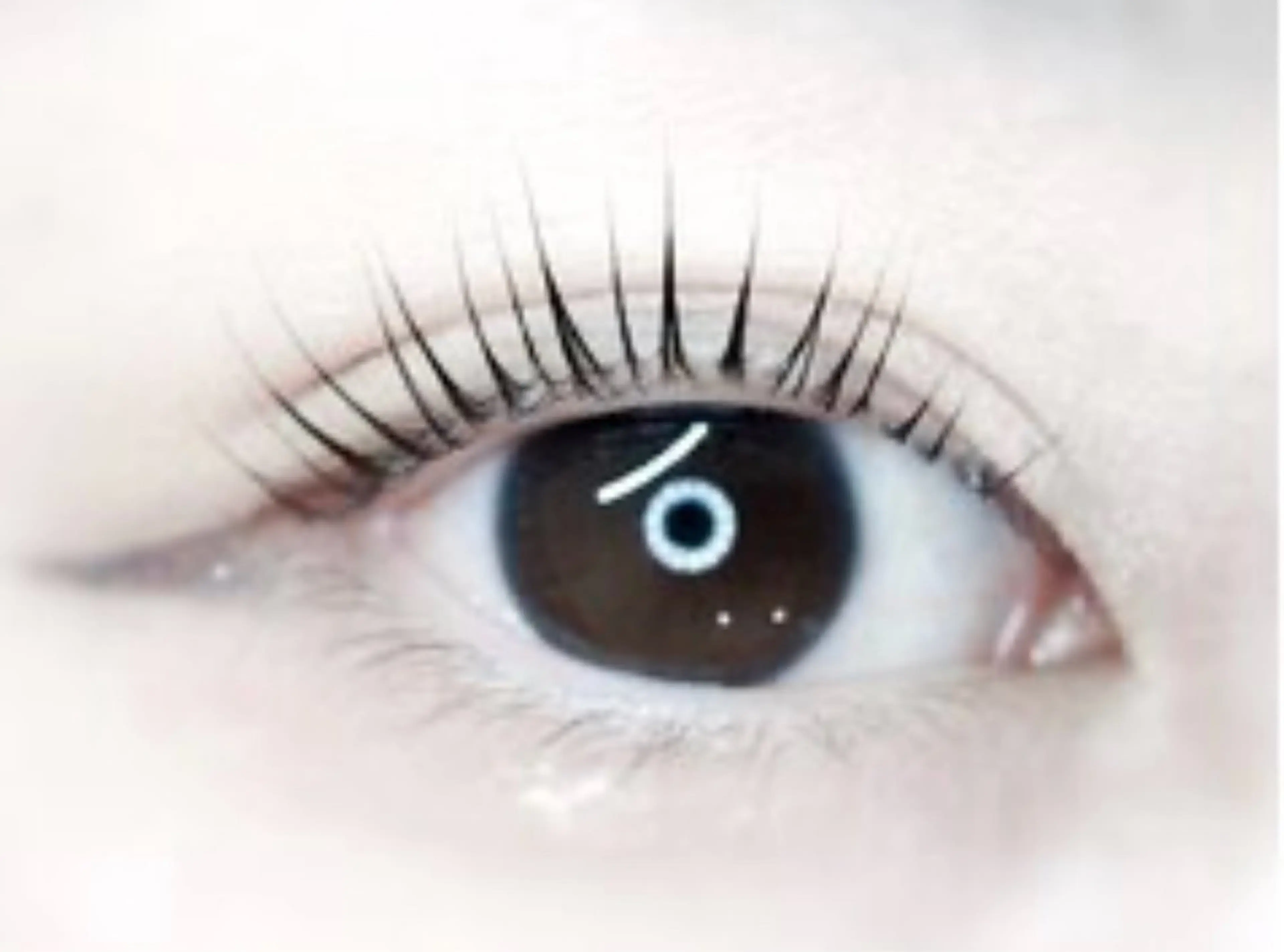 マツエク・マツパ パリジェンヌラッシュリフト YUMI🍒ྀི MEMEのマツエク・マツパデザイン