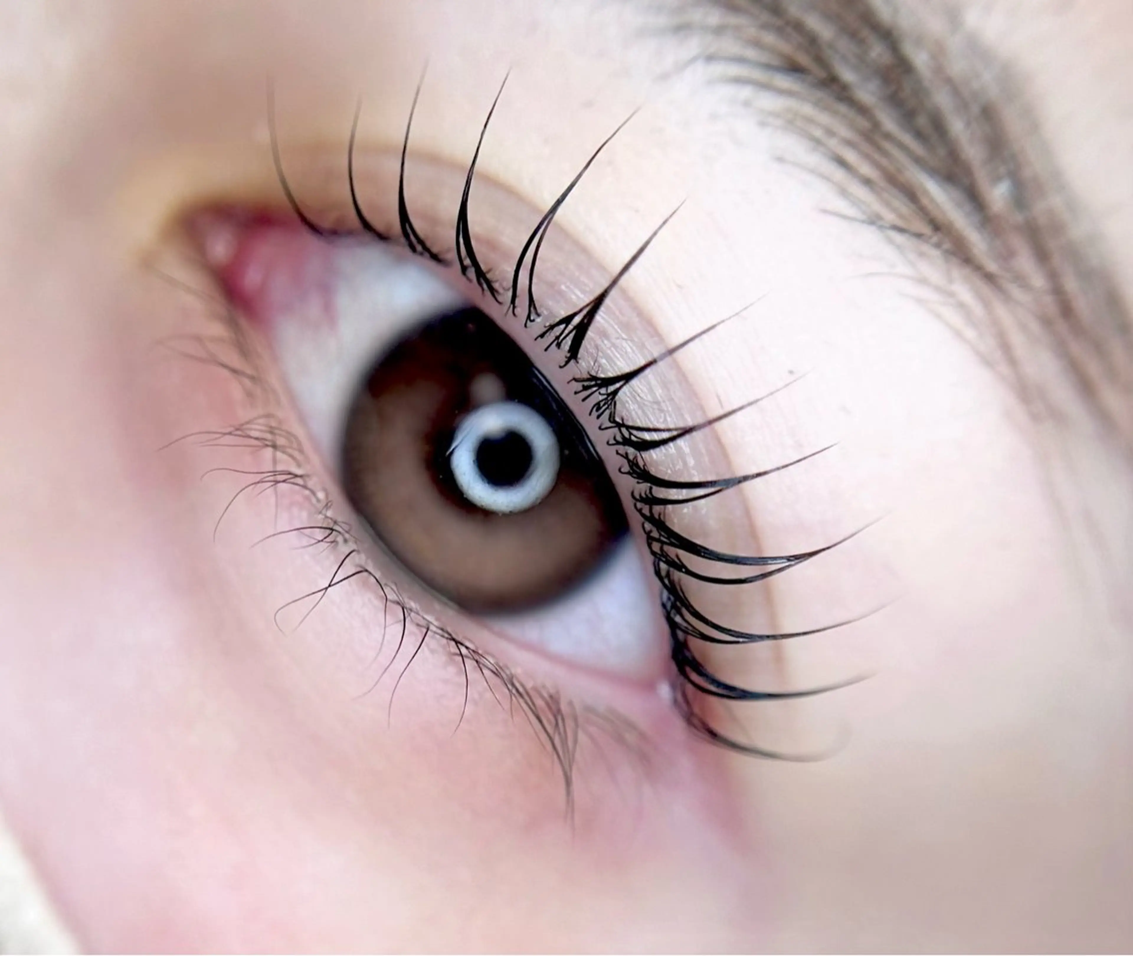 マツエク・マツパ パリジェンヌラッシュリフト eyelist. mizuki🐈⬛の眉毛・アイブロウイメージ