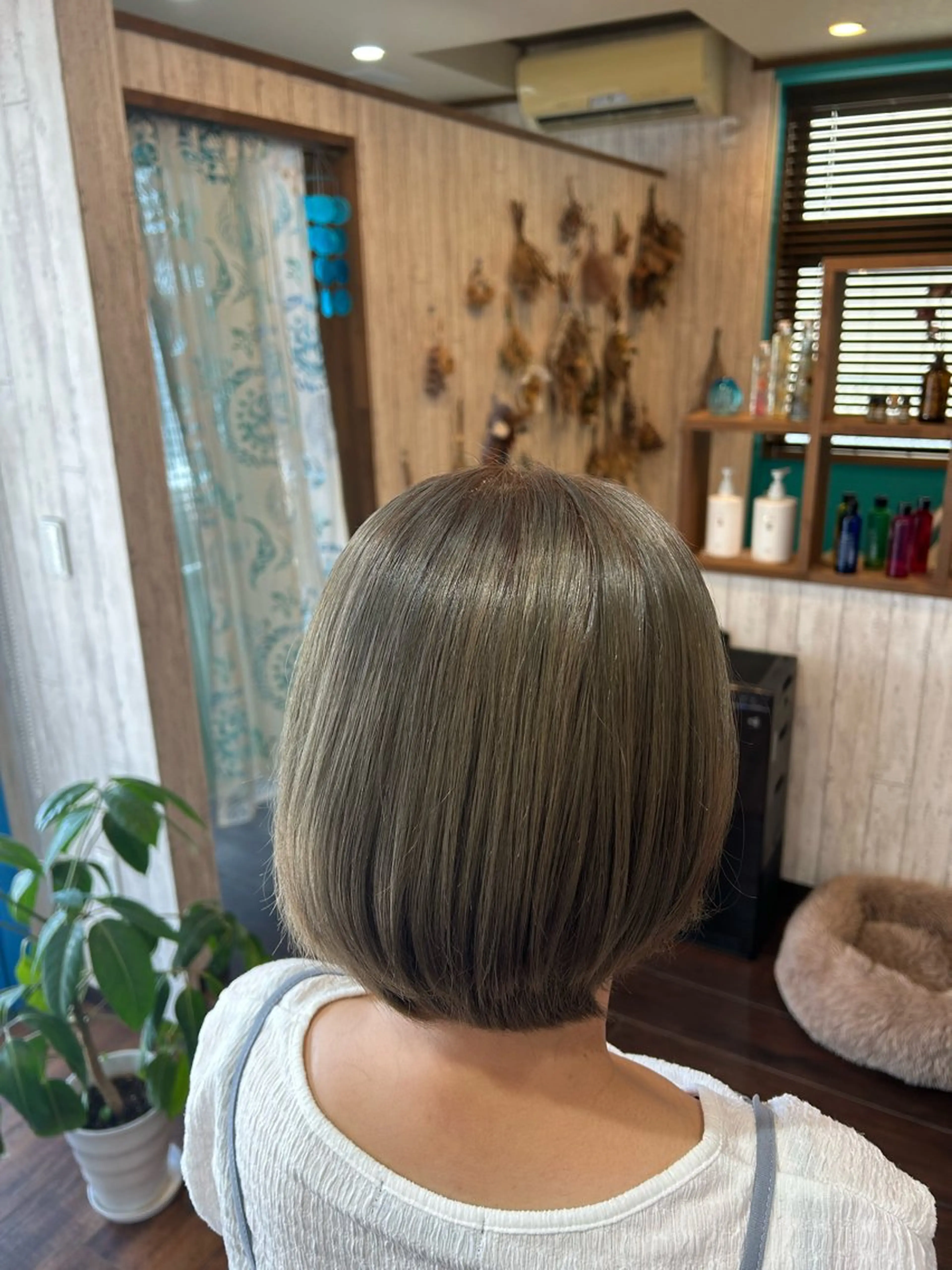ショート カラー ヘアカラー 早坂 さくらのヘアスタイル