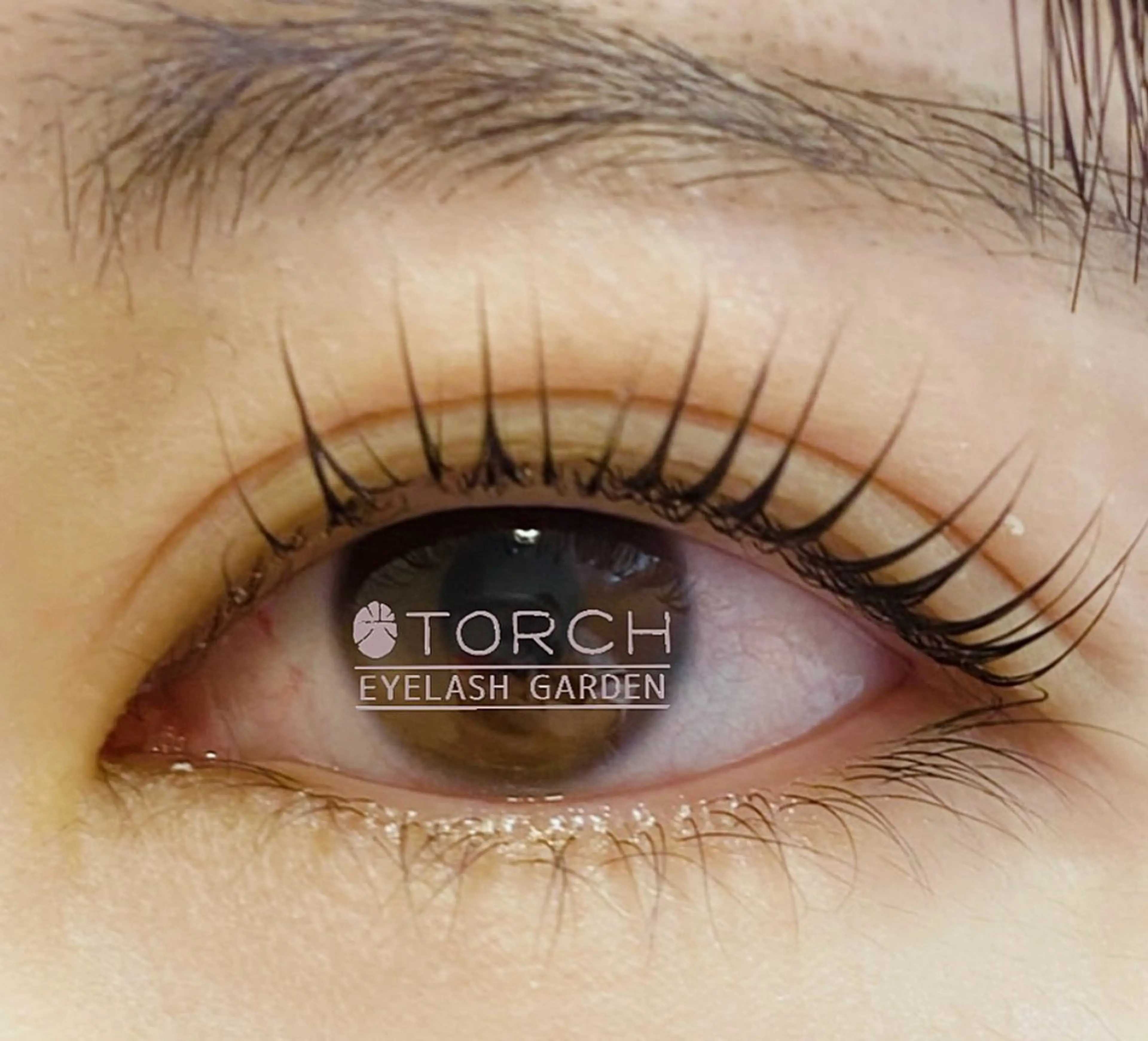 マツエク・マツパ -TORCH- Hironoのマツエク・マツパデザイン