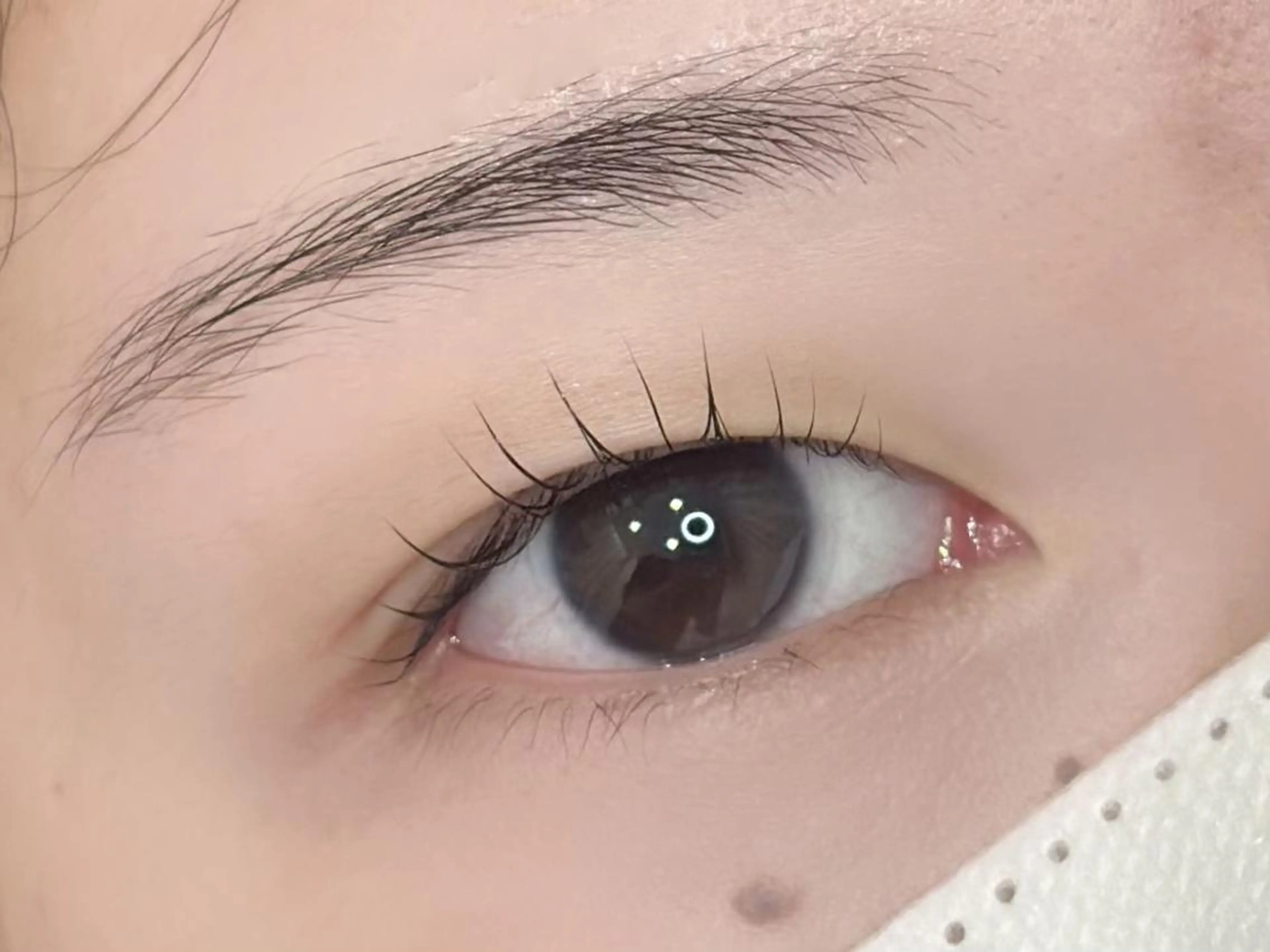 マツエク・マツパ 一重×まつ毛パーマ amans eye cocoroꪔ̤̮のマツエク・マツパデザイン