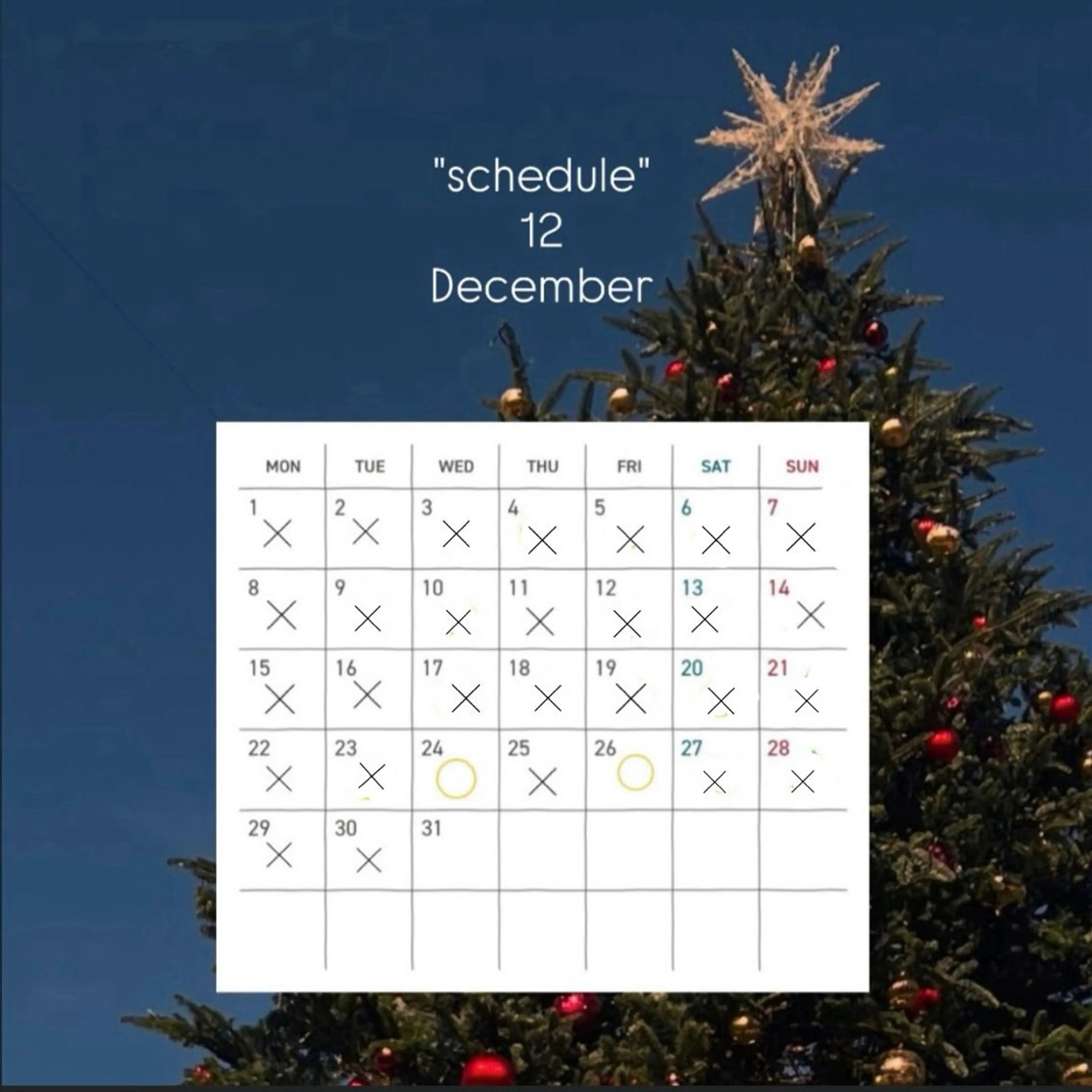 コワファースト長崎シャンプーボーイ所属・カラーモデル募集中 🫧HONOKAのヘアスタイル