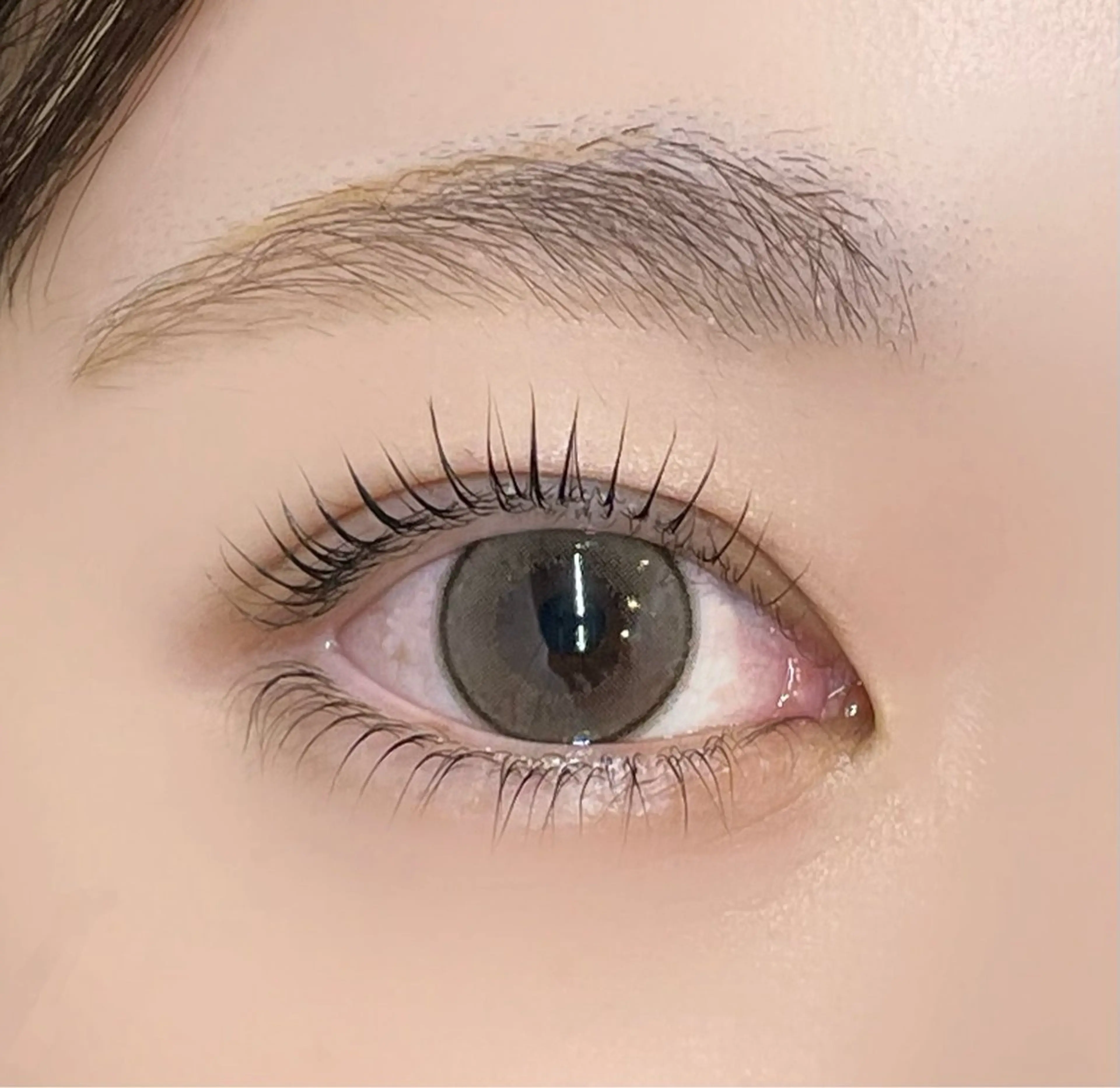 マツエク・マツパ 束感まつ毛 マツパ パリジェンヌ・VLEDLASH専門店】FAST LASH 渋谷所属・もな/ FASTLASHのマツエク・マツパデザイン