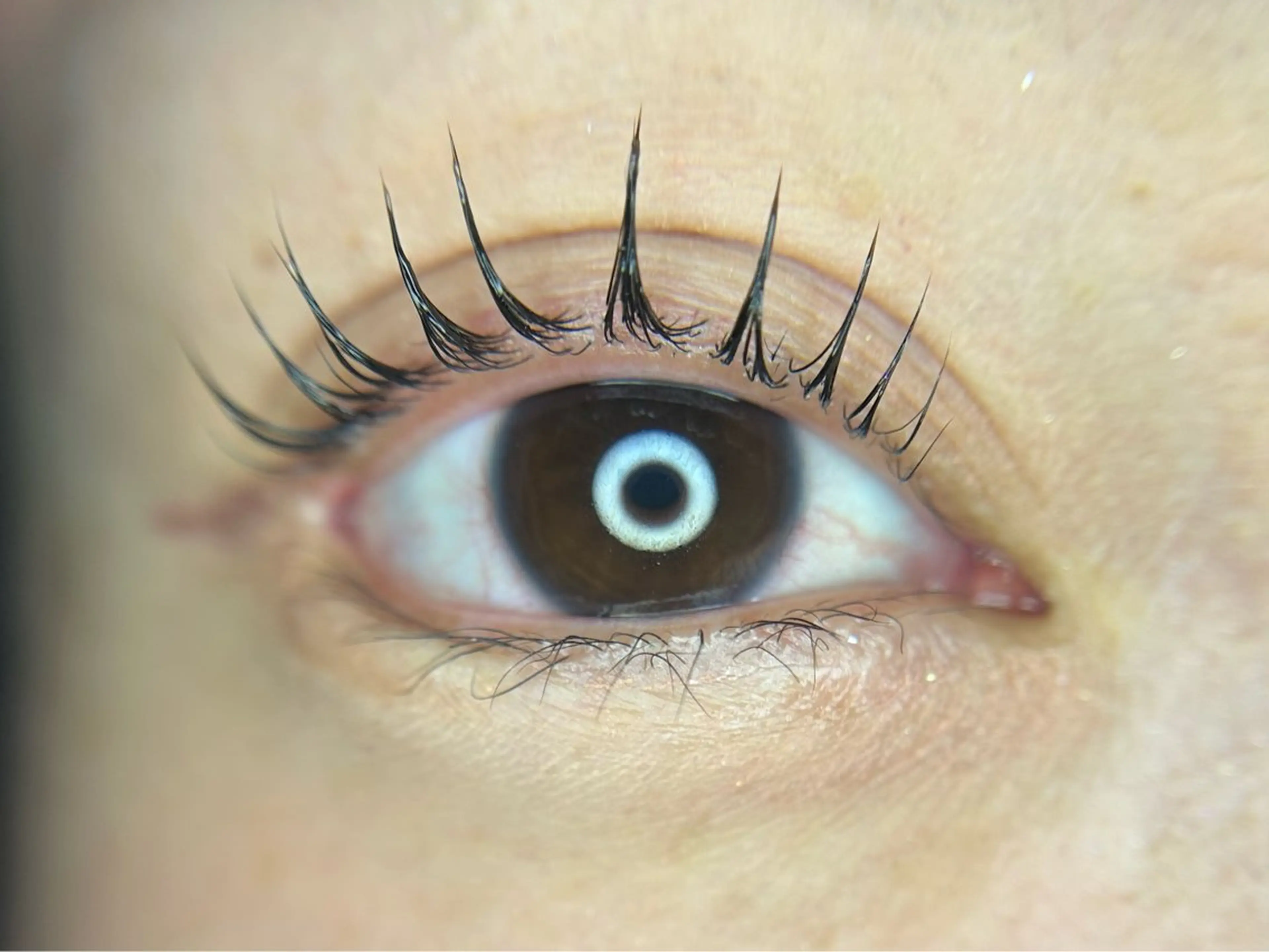 マツエク・マツパ Lash Lift ＷAＶＥ所属・Lash Lift WAVE🩵のマツエク・マツパデザイン