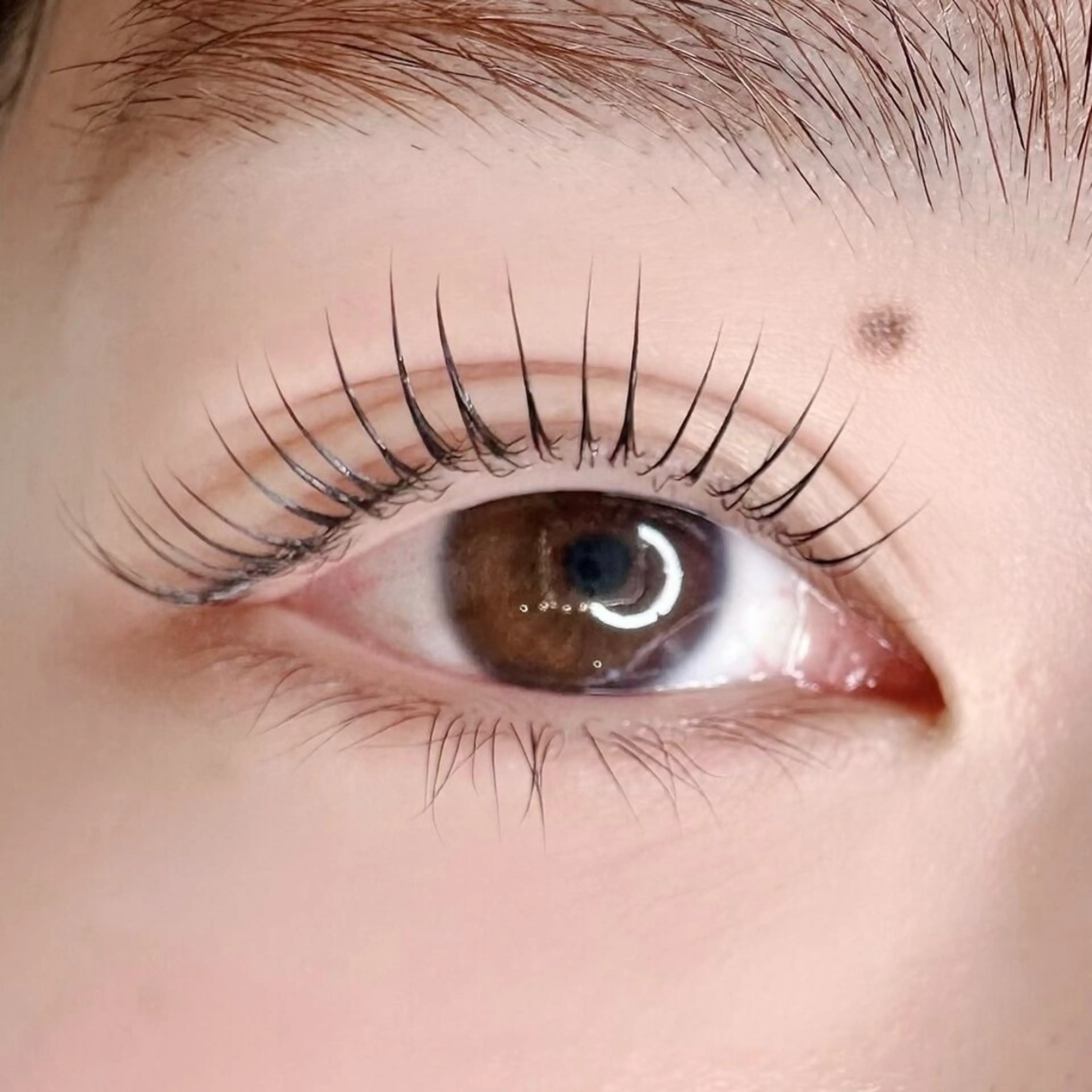 マツエク・マツパ selas kyokaのマツエク・マツパデザイン