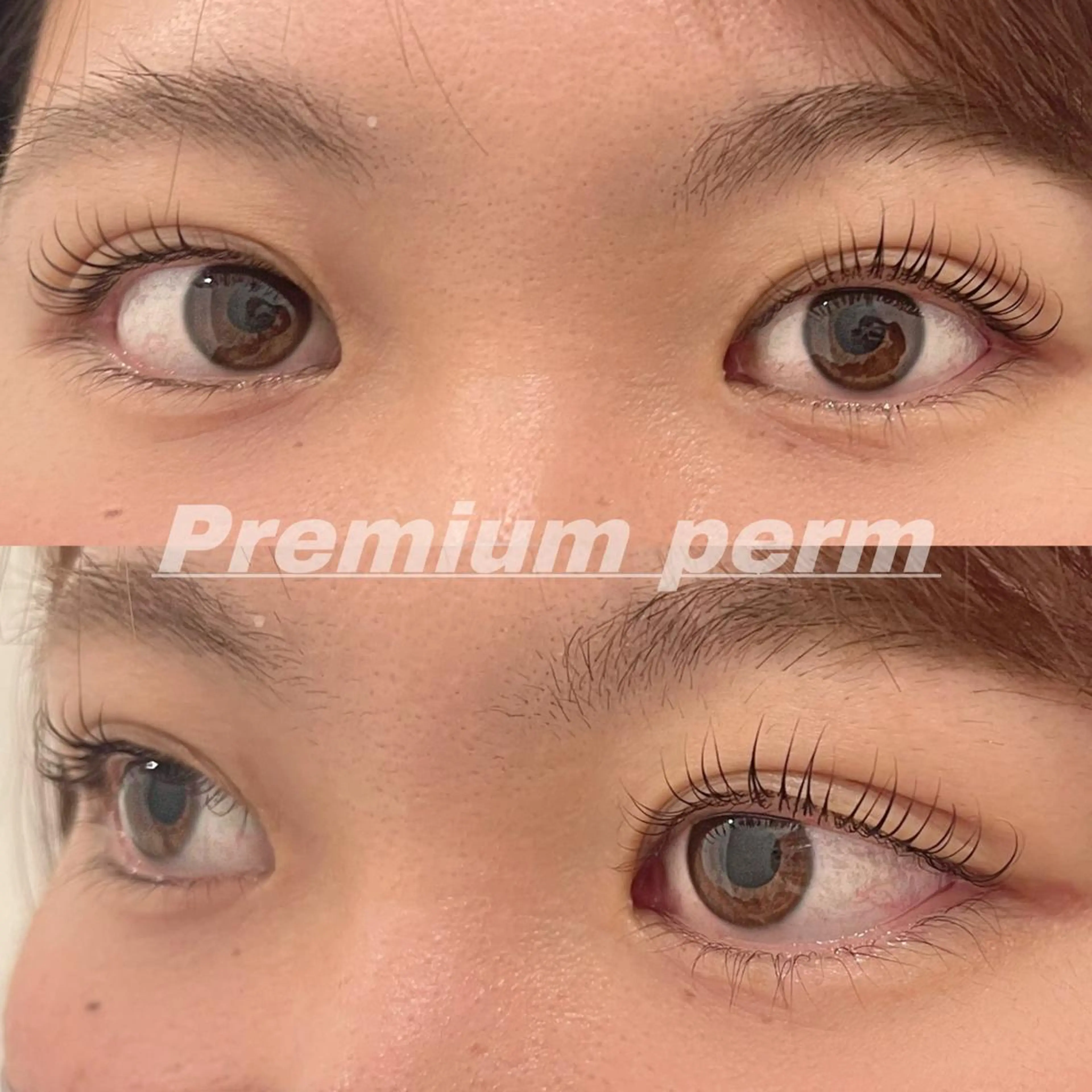 マツエク・マツパ 一重×まつ毛パーマ マツパ Eye ELSA lash栄店 長沼の眉毛・アイブロウイメージ