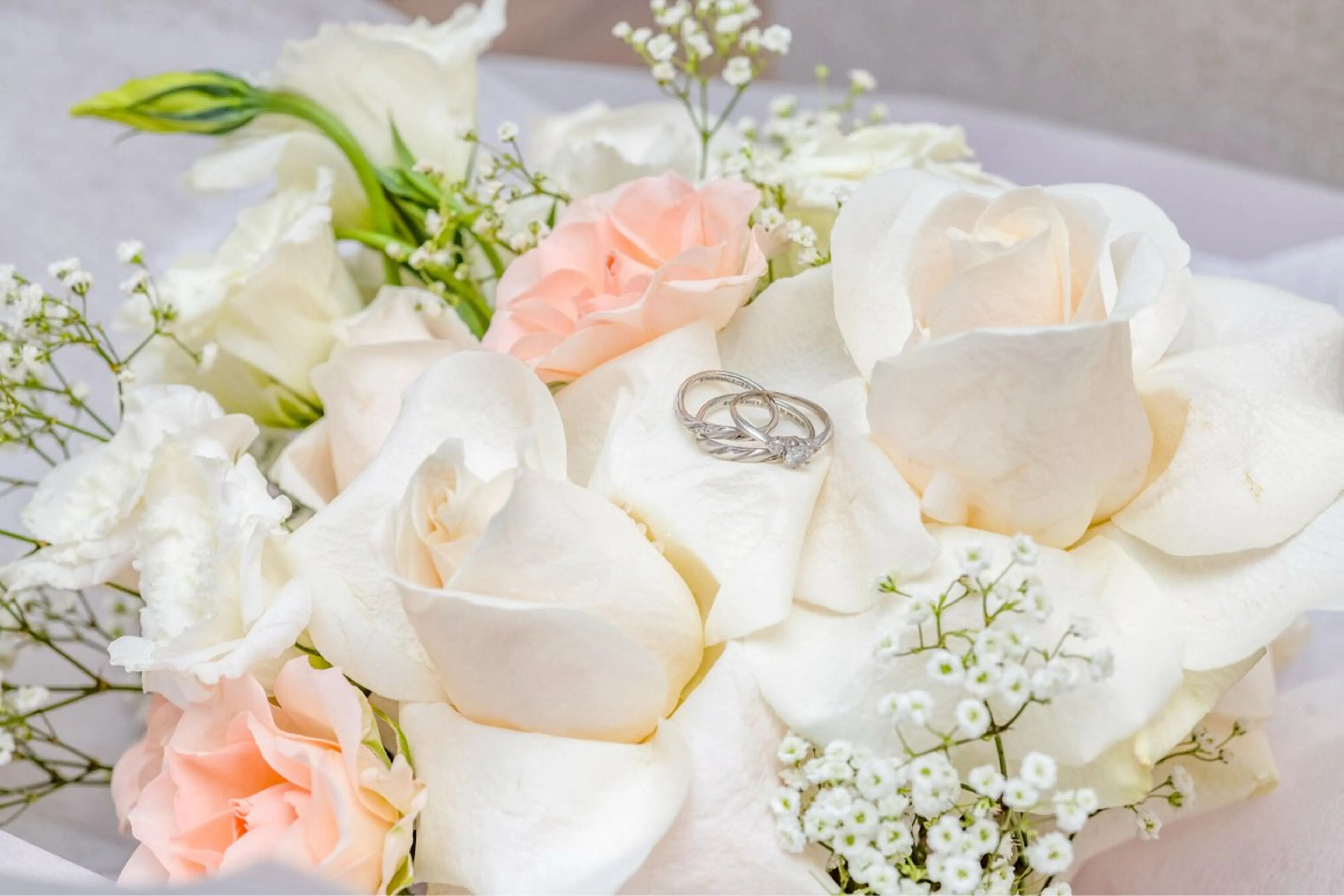 スカルプオフのみの写真