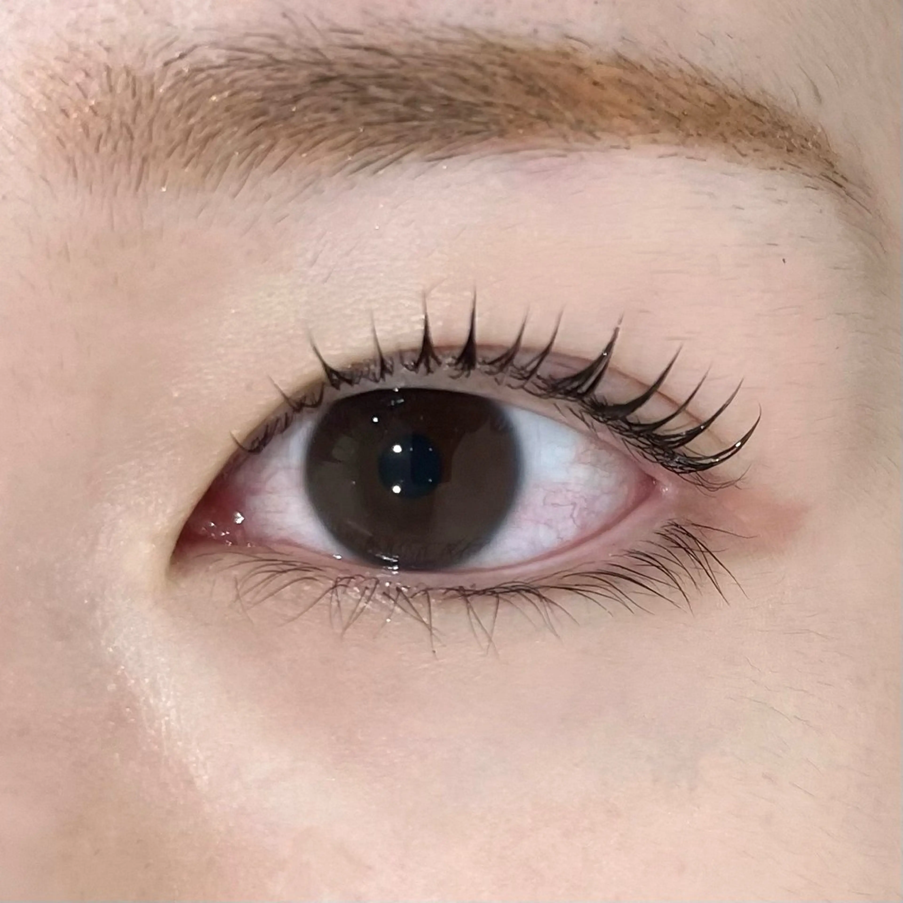 マツエク・マツパ 束感まつ毛 grey🩶 YASUIの眉毛・アイブロウイメージ