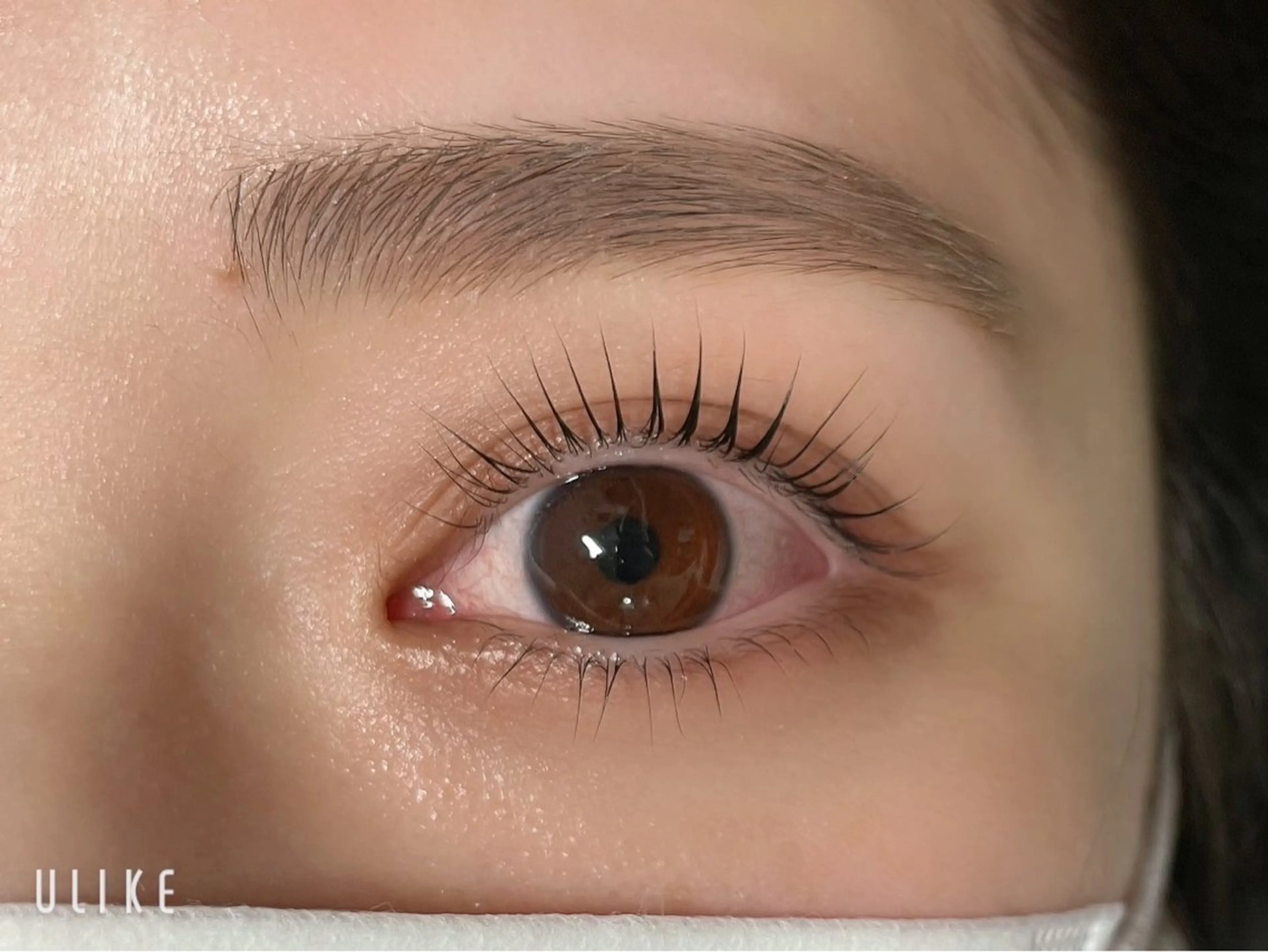 マツエク・マツパ アイブロウパリジェンヌまつ毛パーマ専門店AI所属・eyelist / 坂本 浅草橋の眉毛・アイブロウイメージ