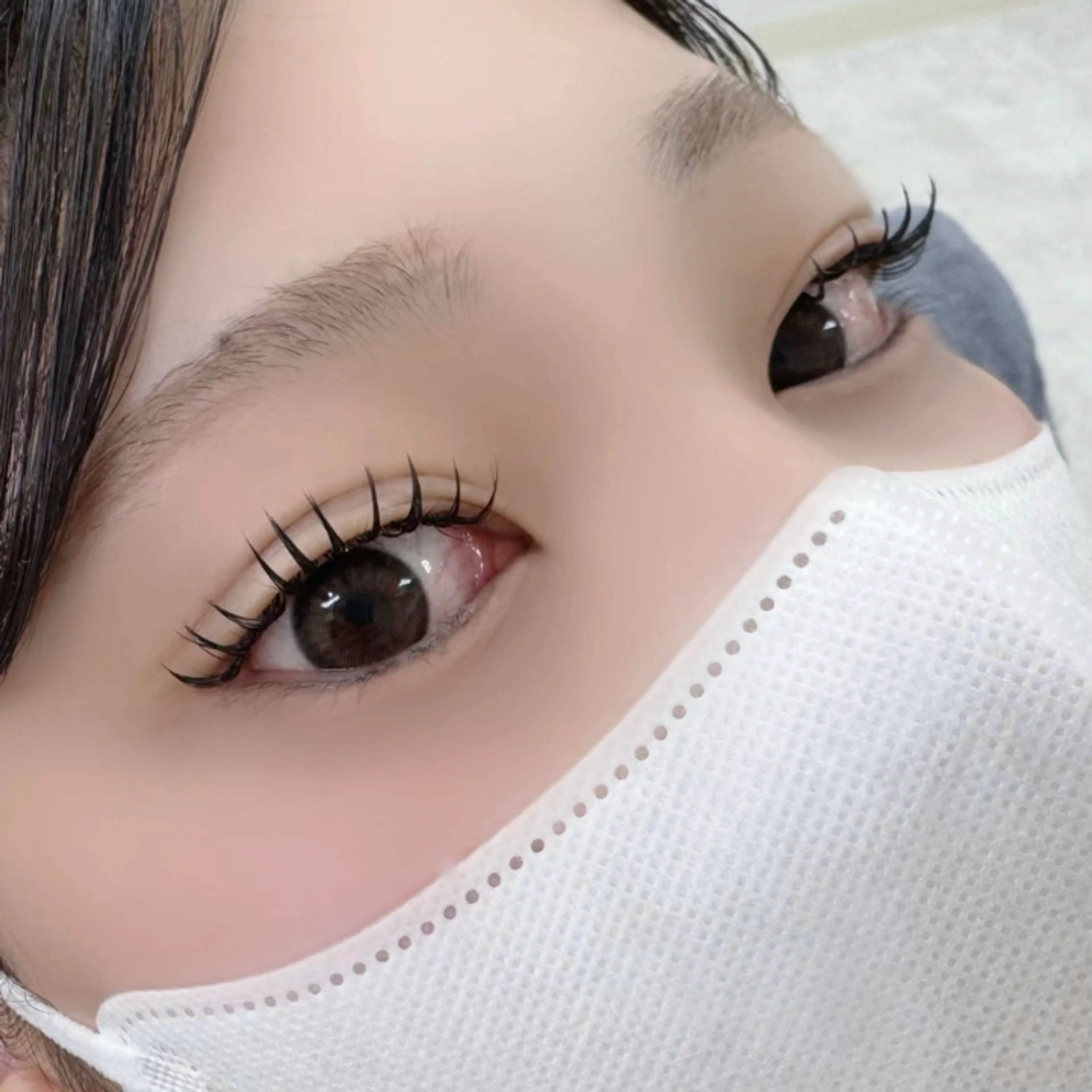 【オフなし】モチ×ボリューム💯✨ダブルフラットラッシュorバインドロック100束🎀セパレートor束間 仕上げ🪄の写真