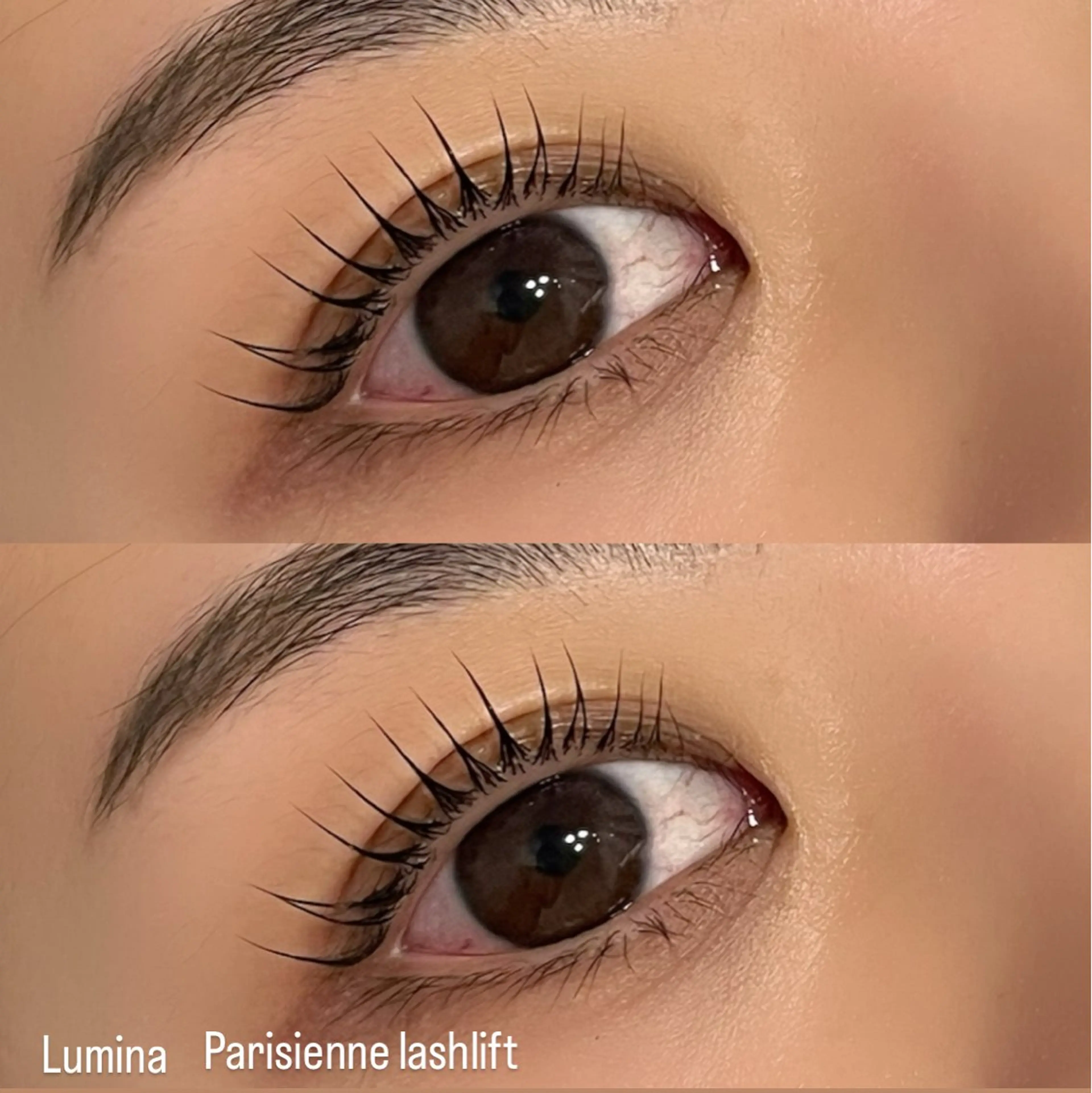 マツエク・マツパ マツパ Lumina Fuyumiのマツエク・マツパデザイン