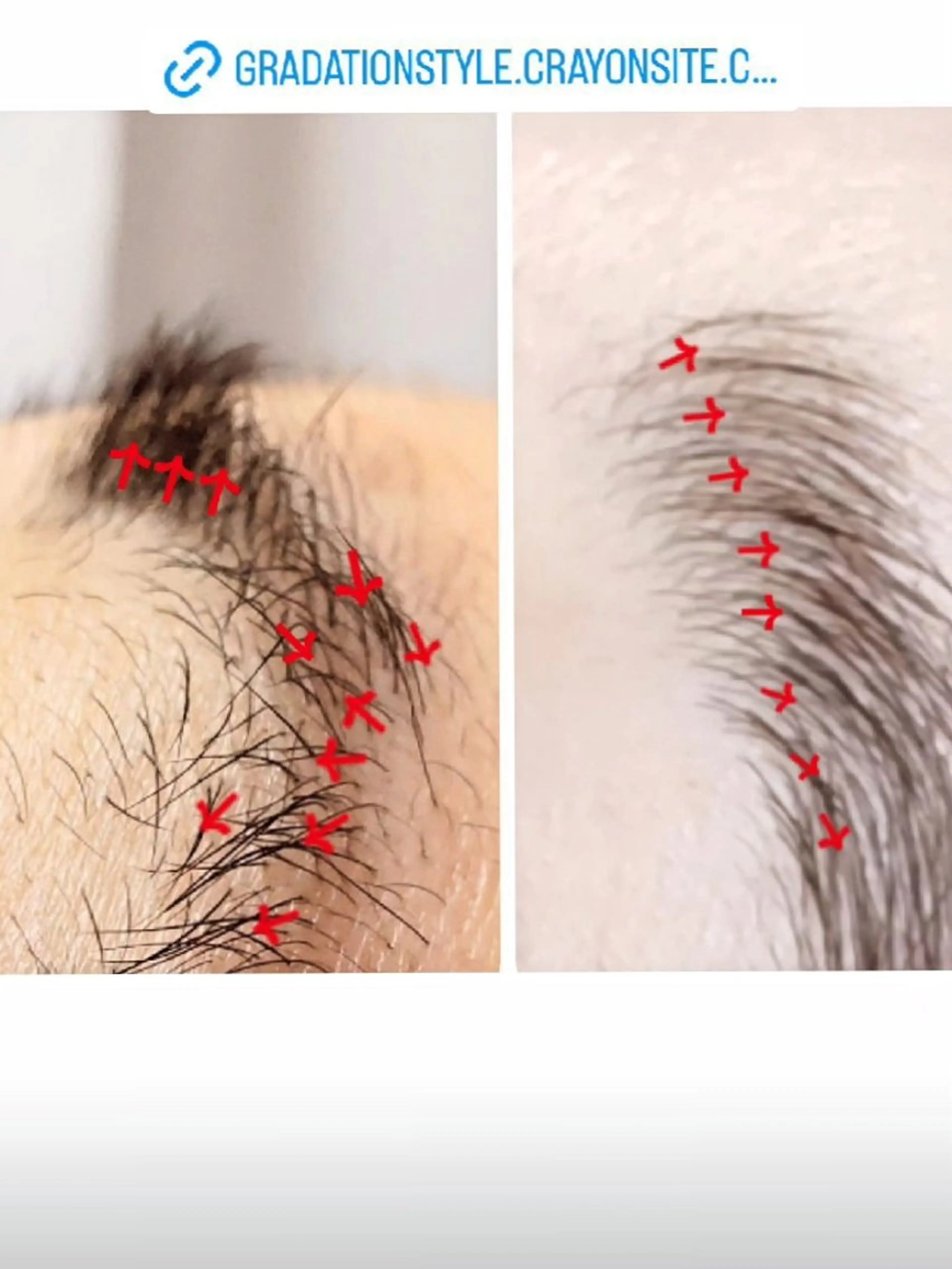 アイブロウ 眉毛ワックス脱毛 🎼グラデーション スタイル札幌♫*⁠✧のマツエク・マツパデザイン