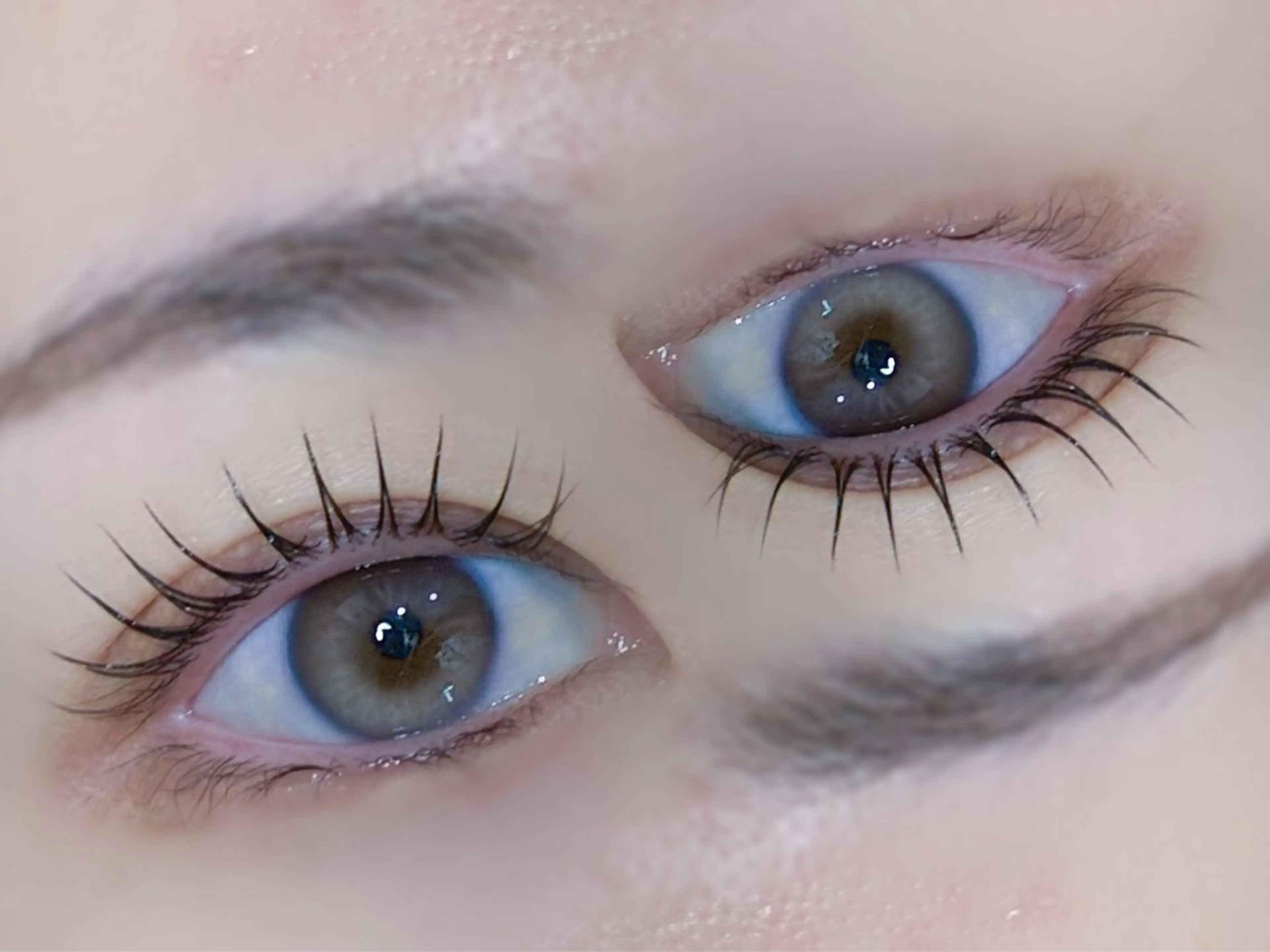 🫶選べるカール🫶パリジェンヌラッシュリフト《まつ毛パーマ》🩷の写真