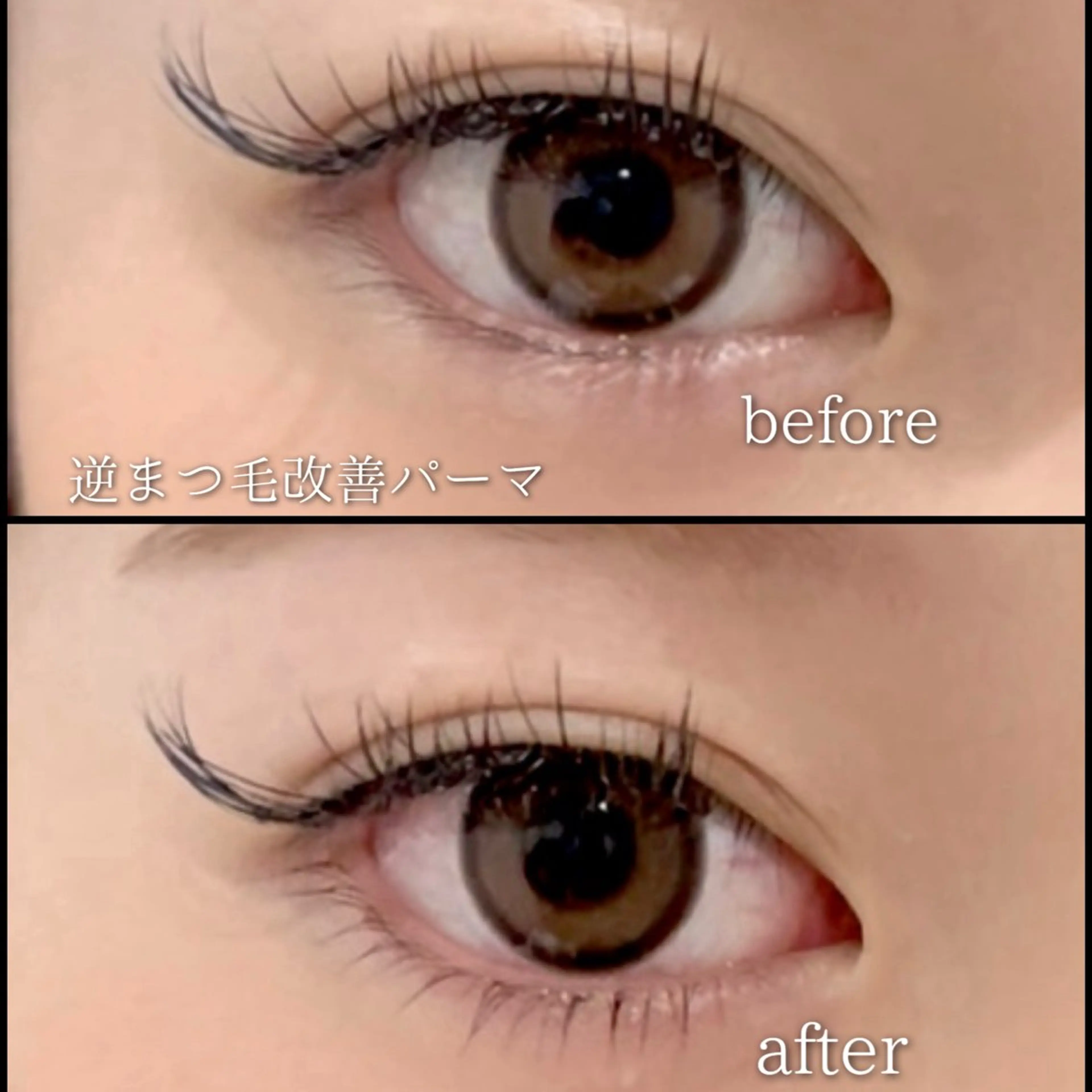 マツエク・マツパ マツパ shall cocotteのマツエク・マツパデザイン