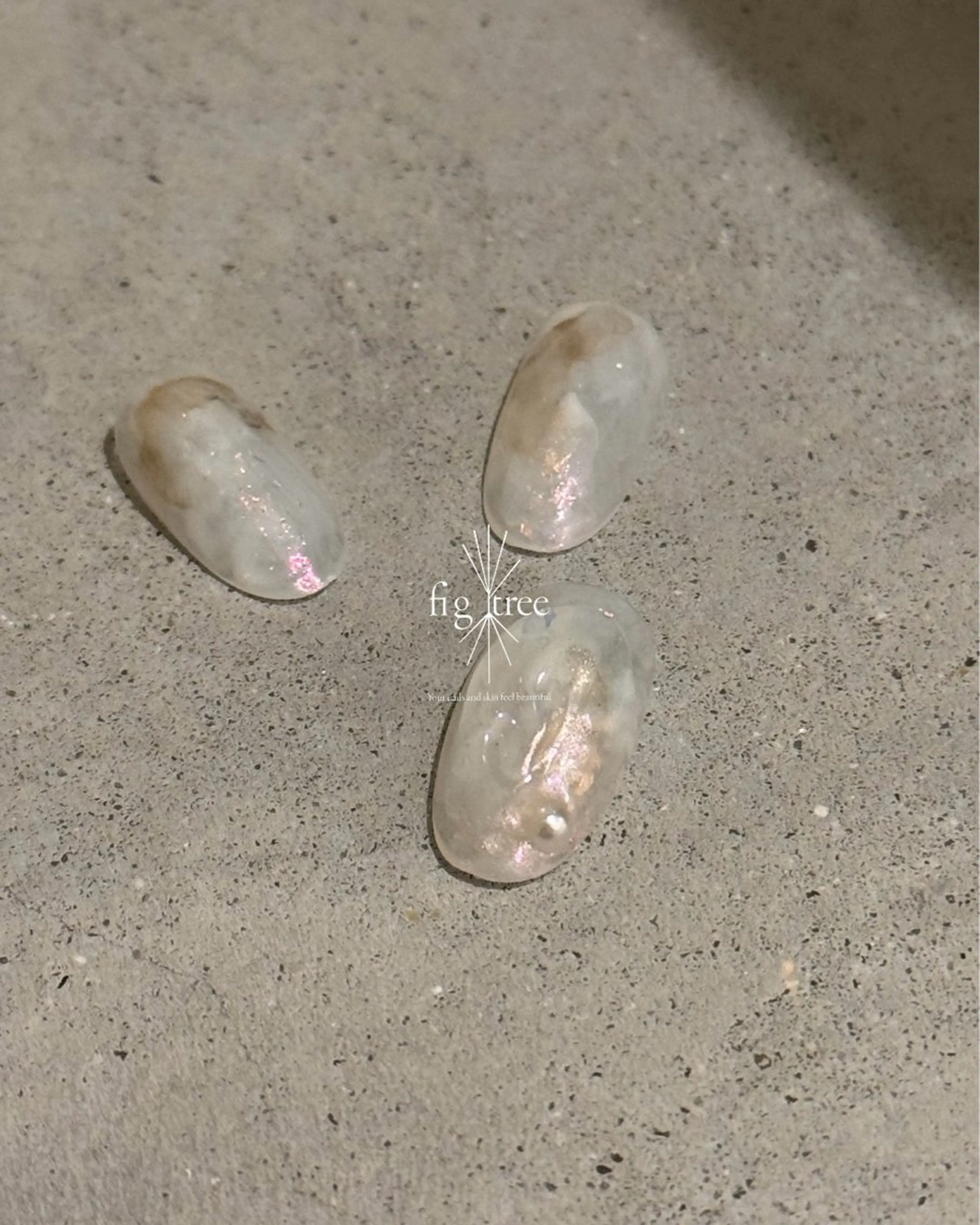 季節のキャンペーンdesignの写真