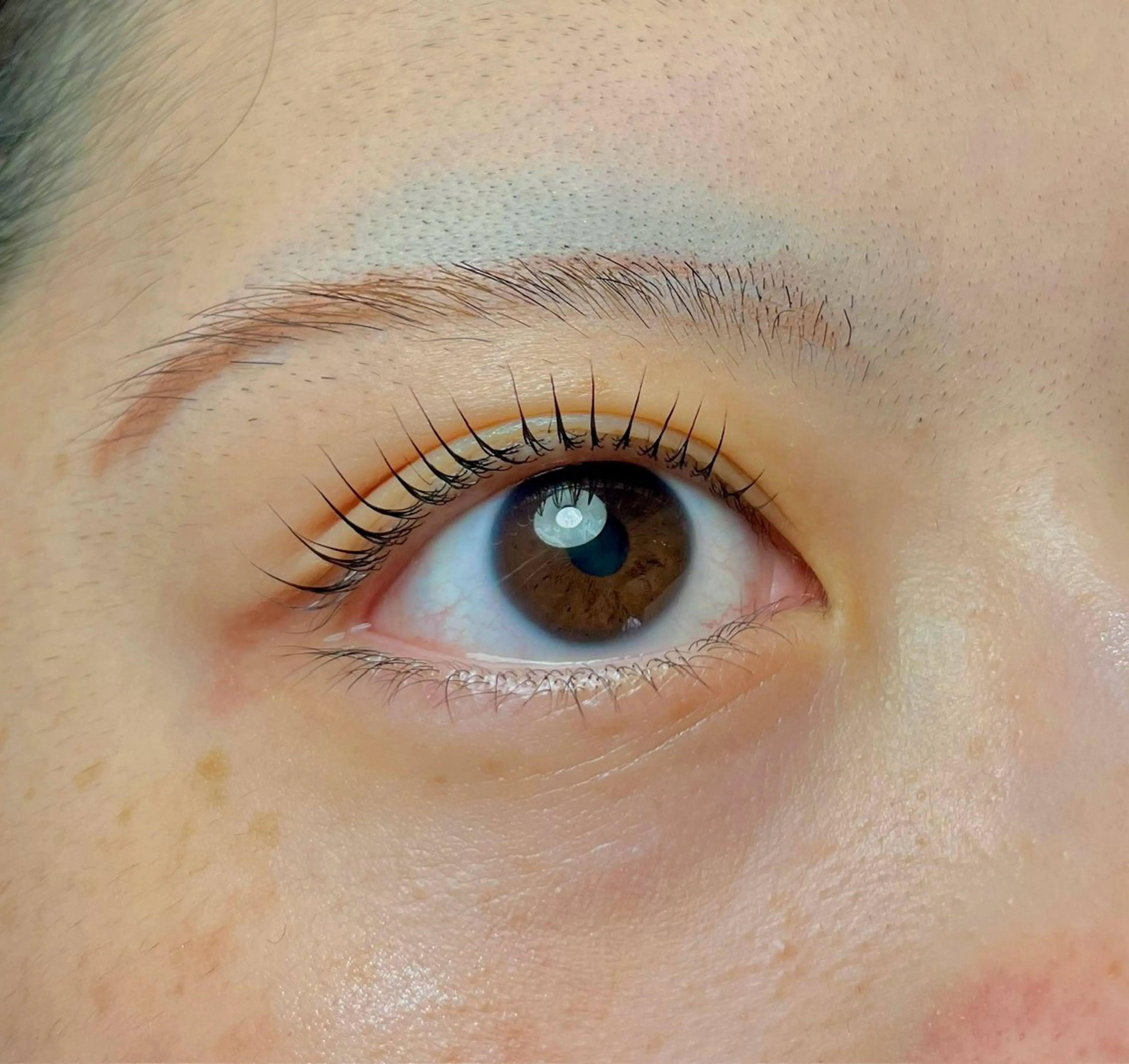マツエク・マツパ cachette eyelash所属・月森 未奈子の眉毛・アイブロウイメージ