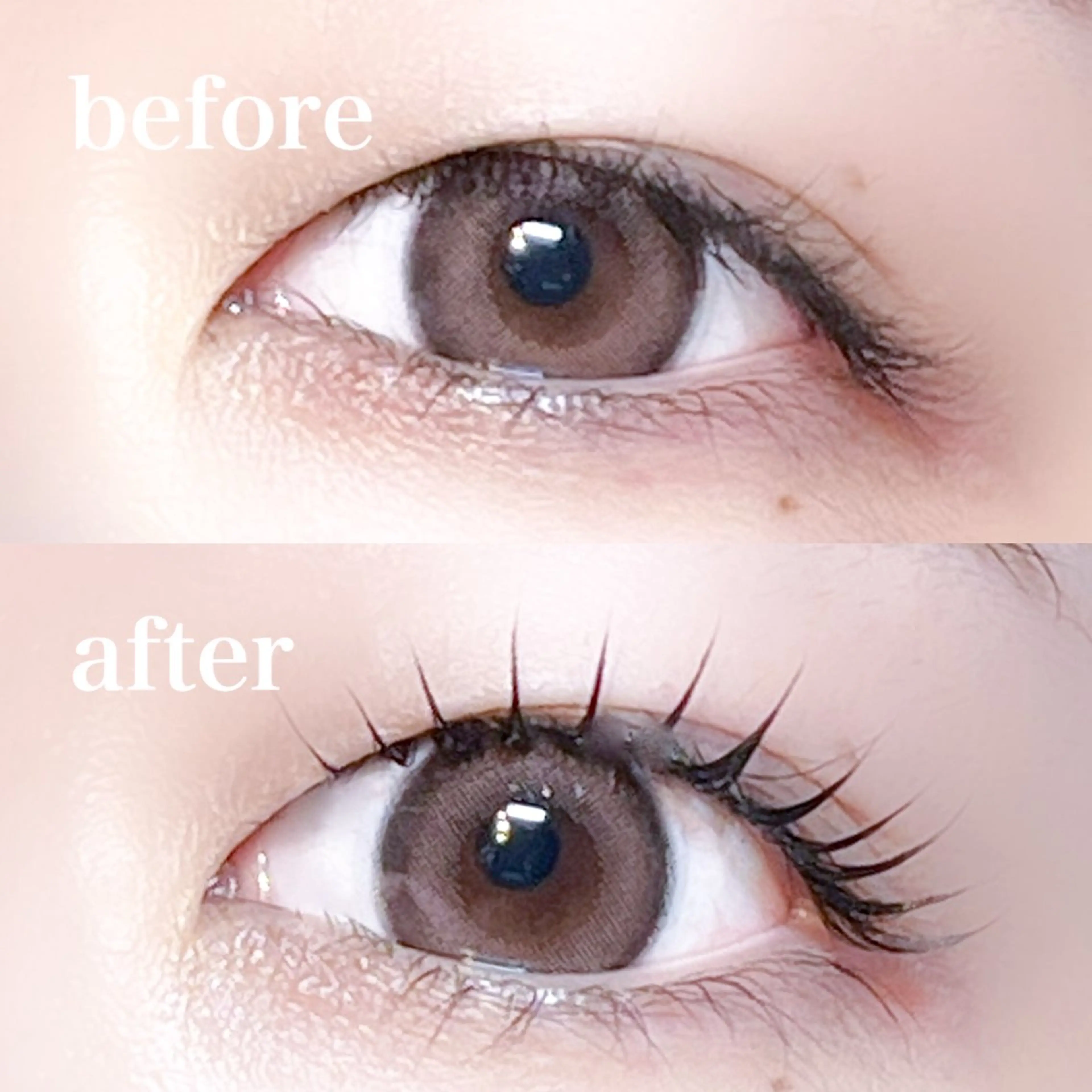 マツエク・マツパ マツパ 仙台/束感まつげ💐 🎀Mizukiのマツエク・マツパデザイン