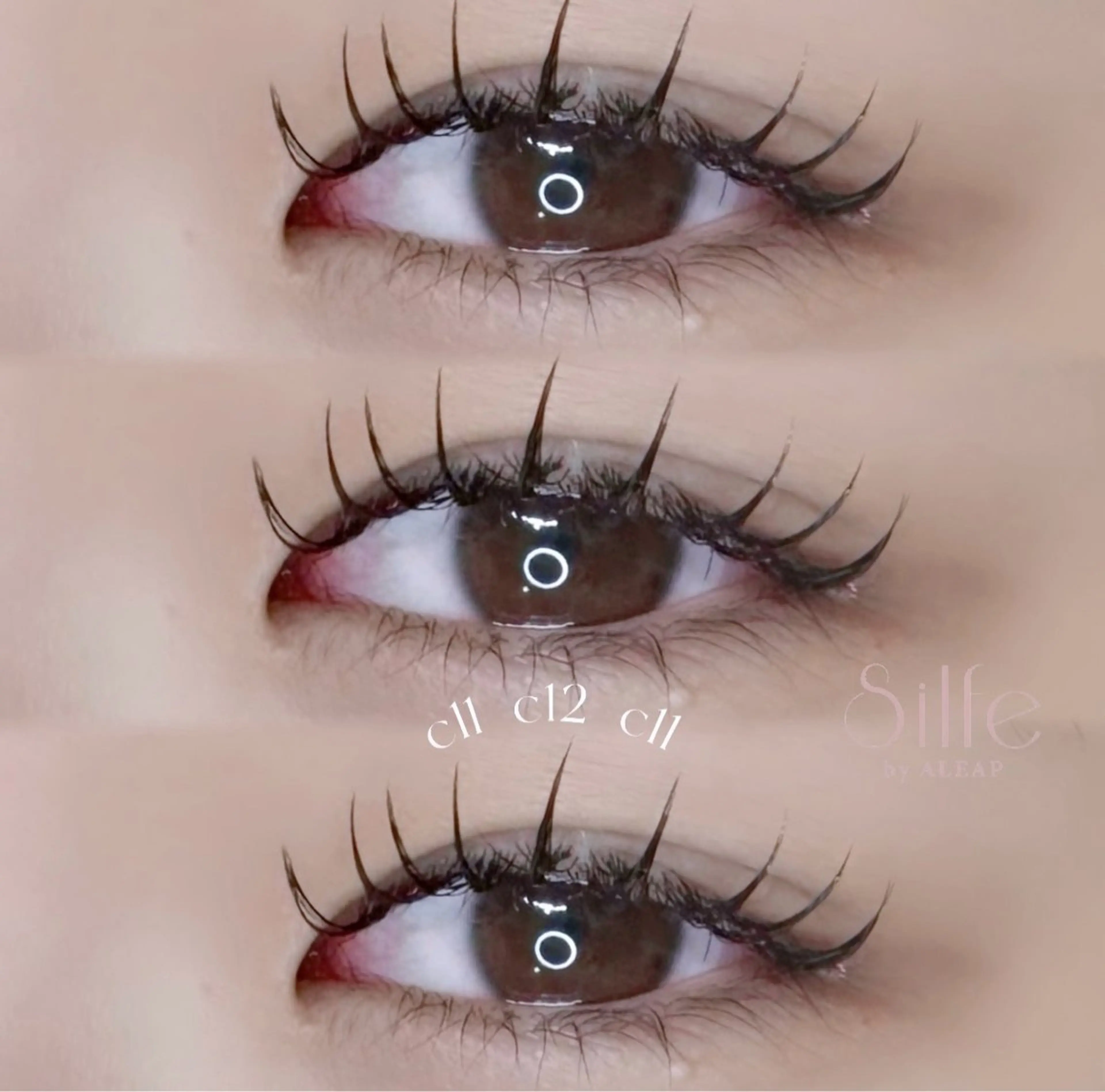 ◝☆ Wフラットラッシュ100束◝☆の写真