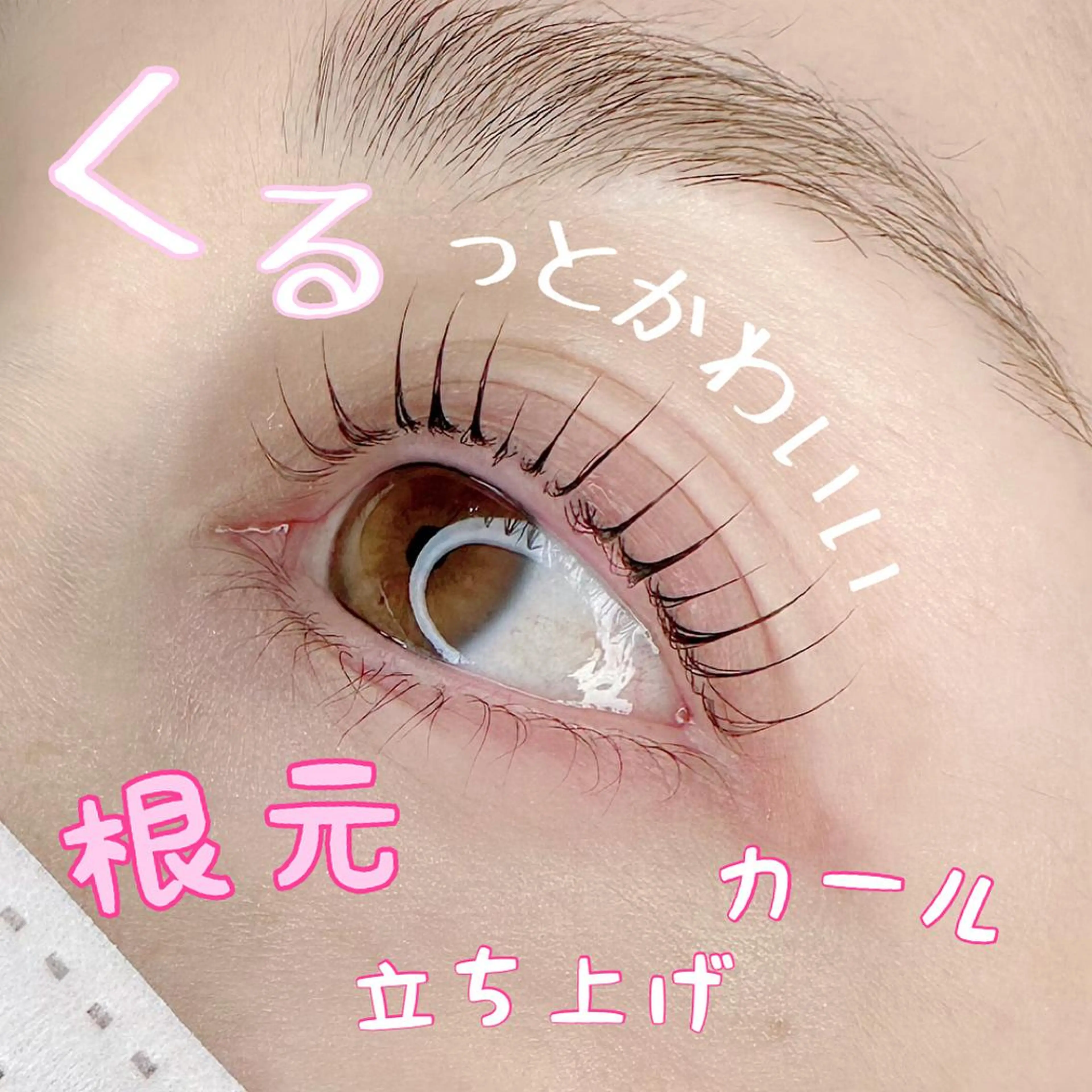 マツエク・マツパ アイブロウ マツパ 池袋駅韓国風🇰🇷 束感💗Tomoのマツエク・マツパデザイン