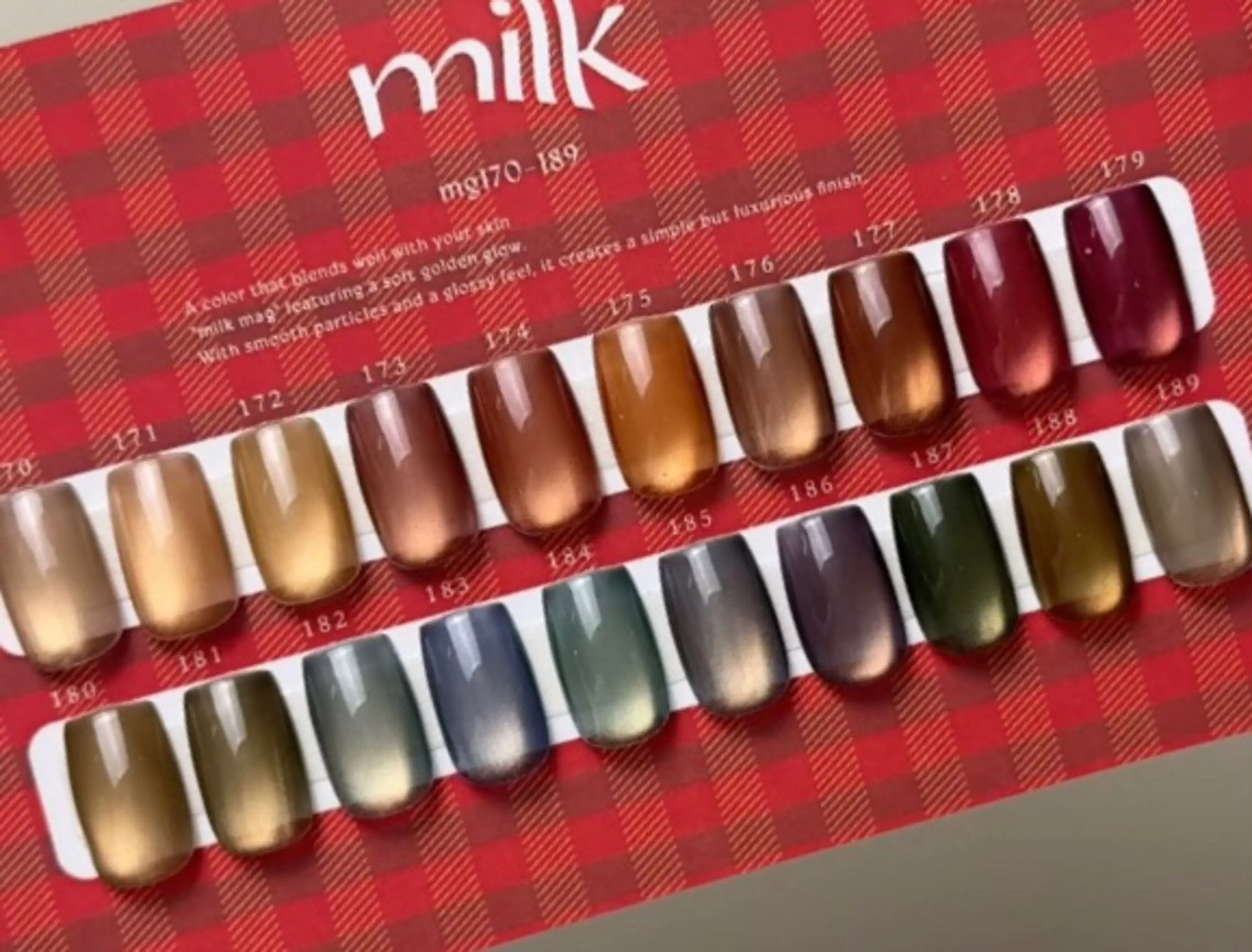 オフなし☆ 秋🍁マグネットネイル 6,500円！の写真