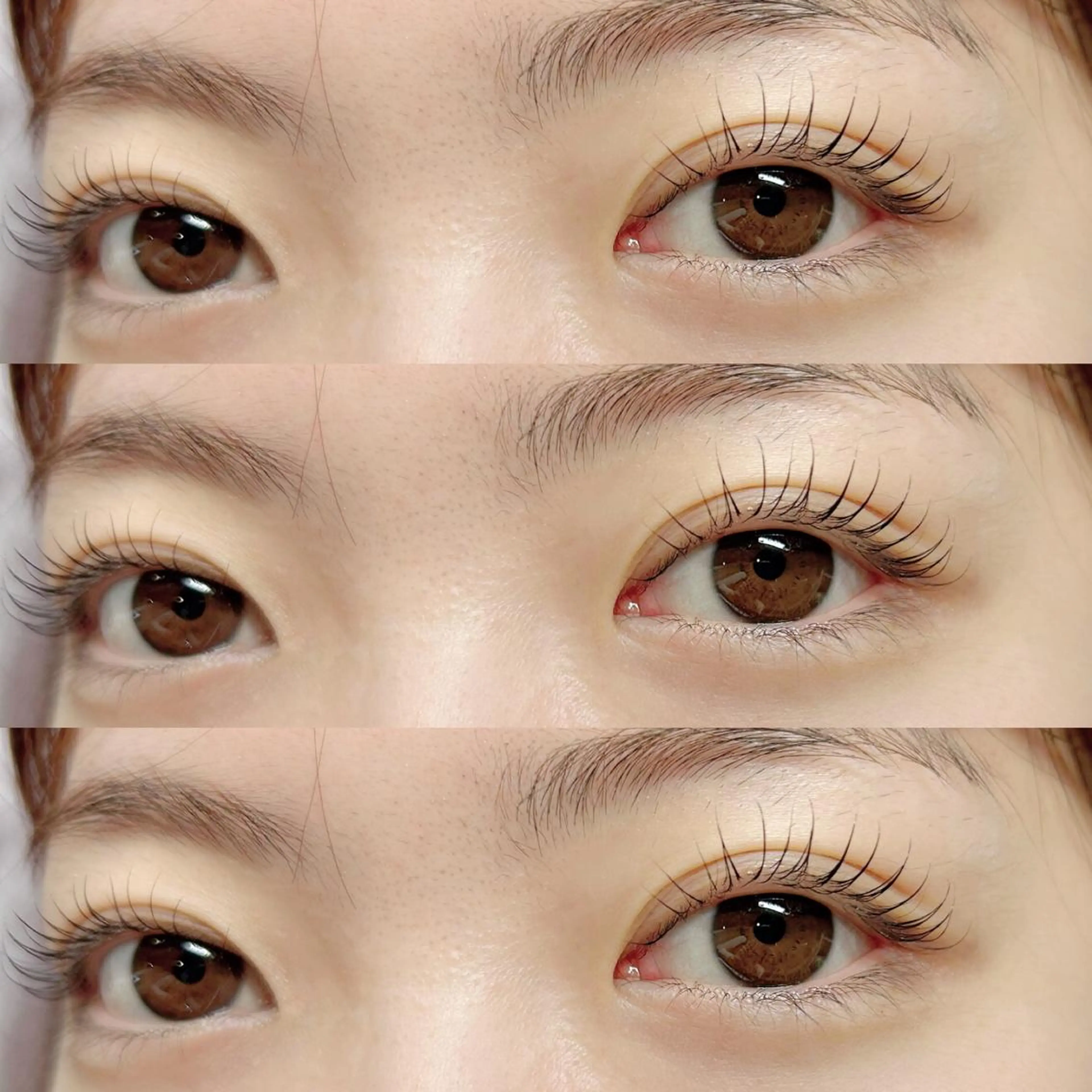 マツエク・マツパ petit ange所属・petit angeのマツエク・マツパデザイン