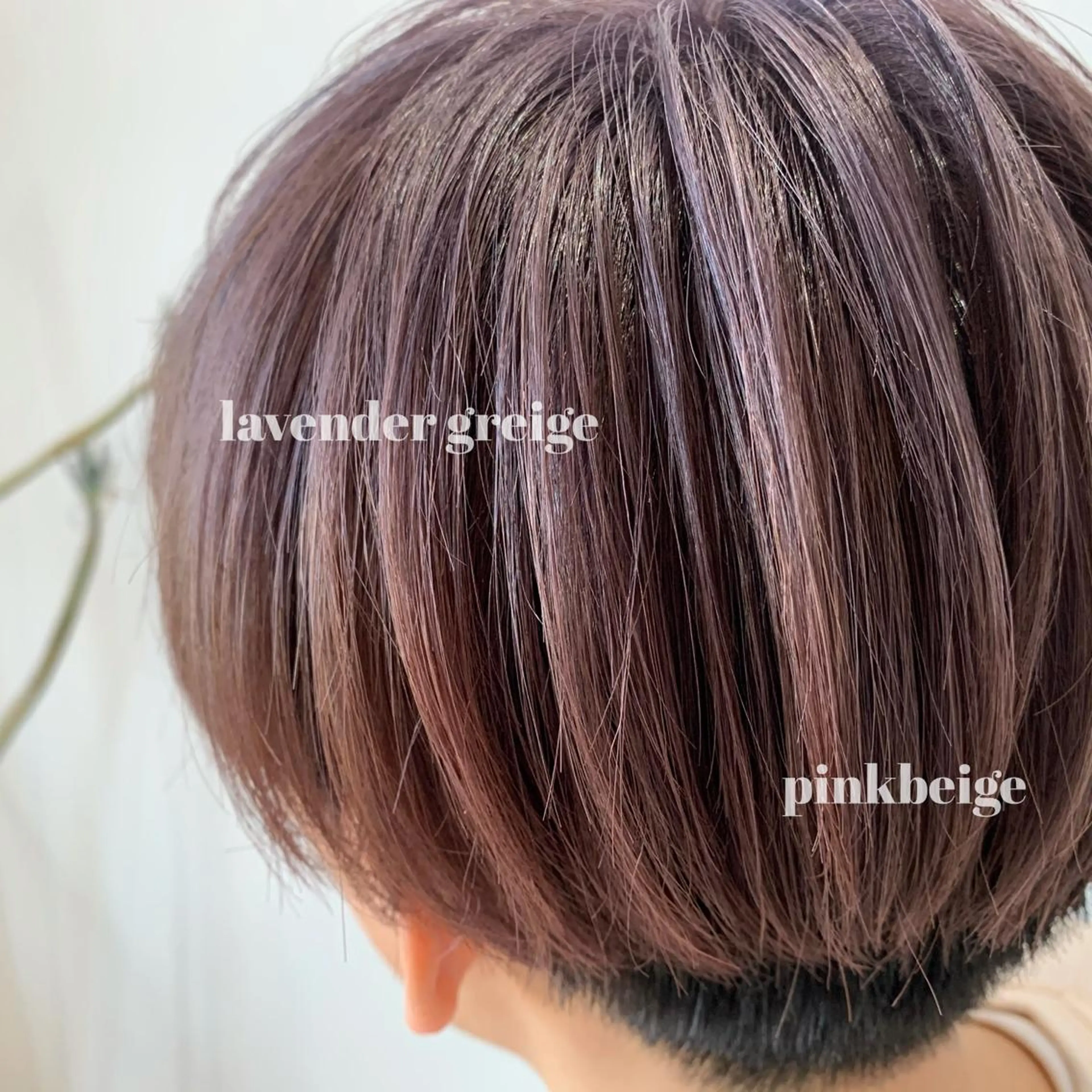 ショート カラー ヘアカラー SOU所属・ふるかわ れなのヘアスタイル