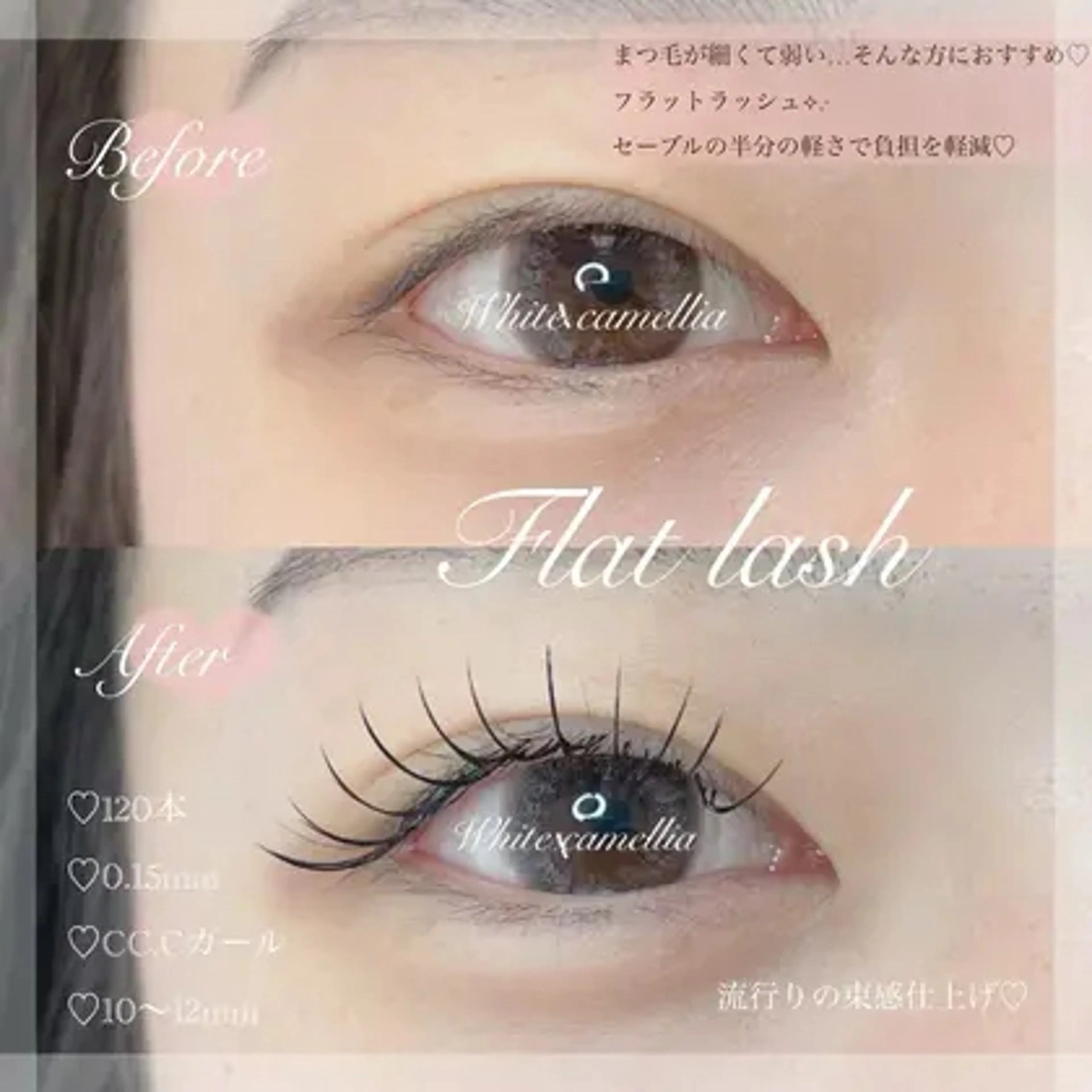 【マツエク】ナチュラル韓国束感　プレミアムフラットラッシュ120本の写真