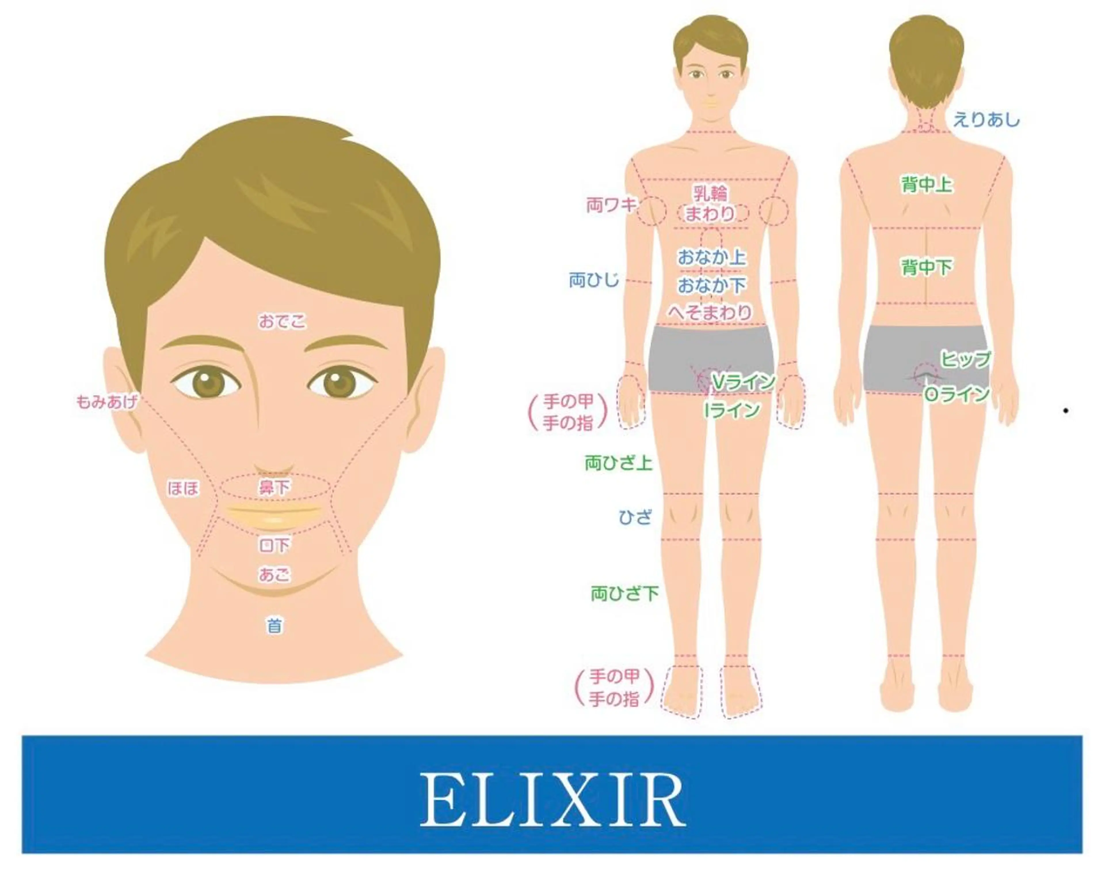 脱毛専門サロンELIXIR（ｴﾘｸｻｰ）所属・脱毛&ホワイトニング ELIXIR×ULTの眉毛・アイブロウイメージ