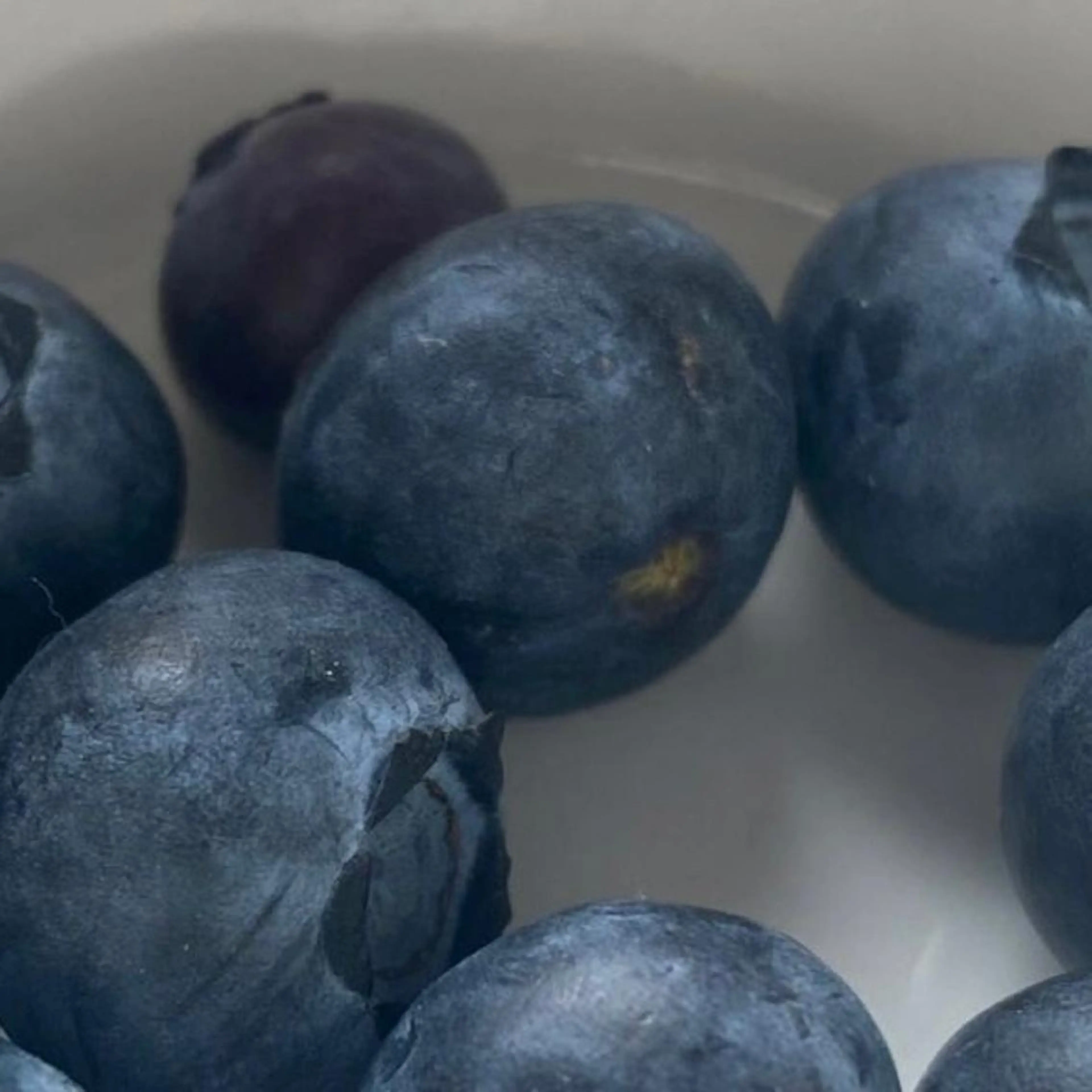 IwAsh  大和駅店所属・shiho .のヘアスタイル