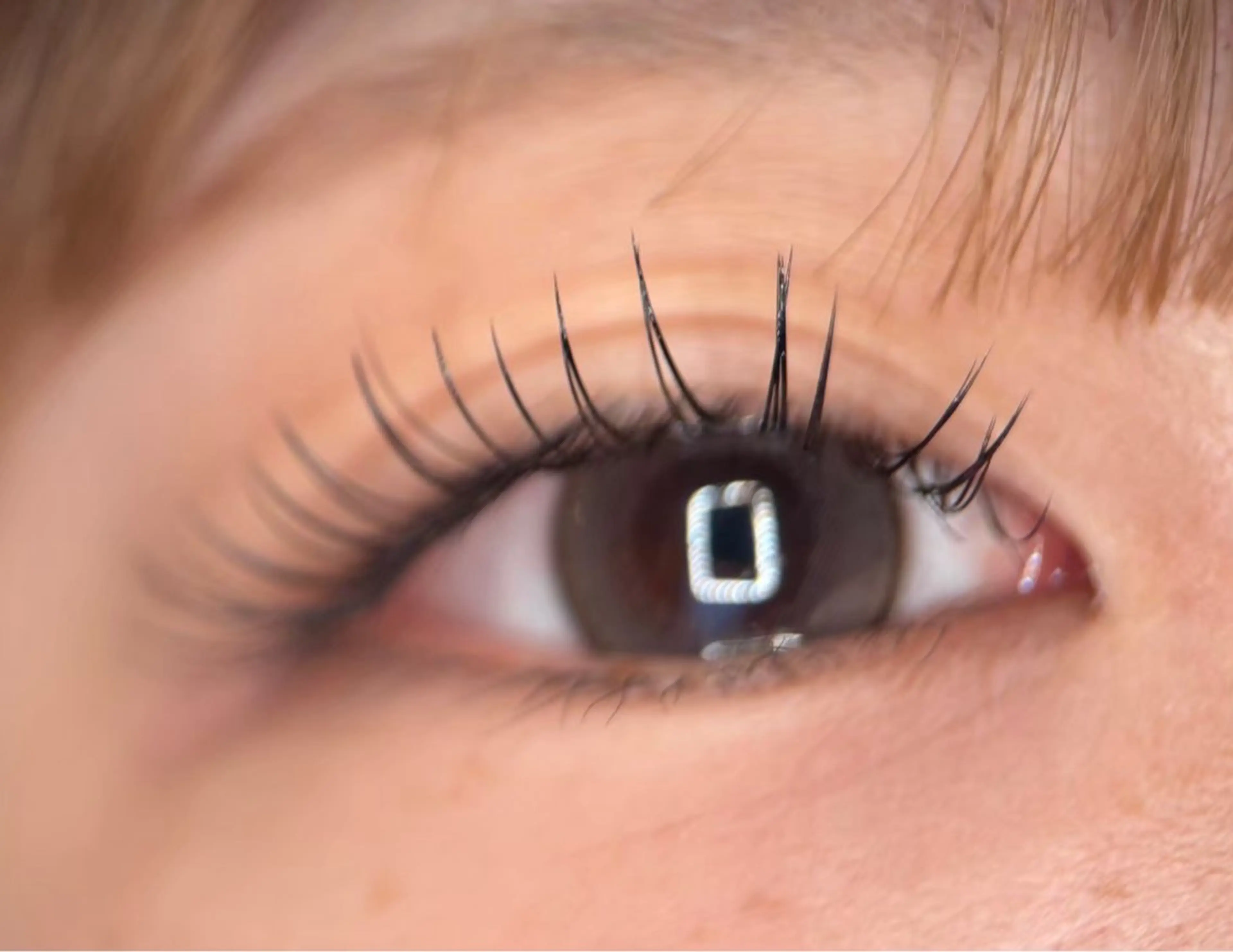 ダブルフラットラッシュ 11/14 16時限定の写真