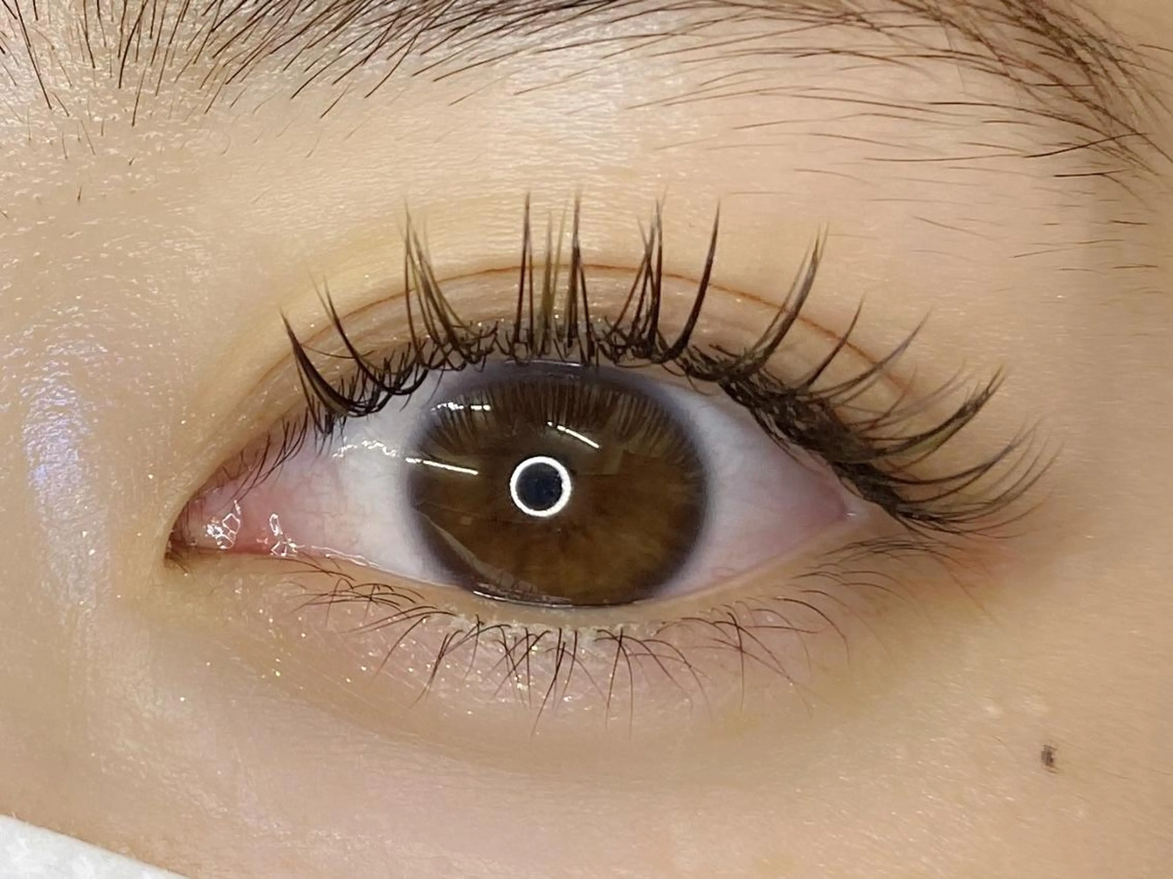 マツエク・マツパ ELRe Ranのマツエク・マツパデザイン